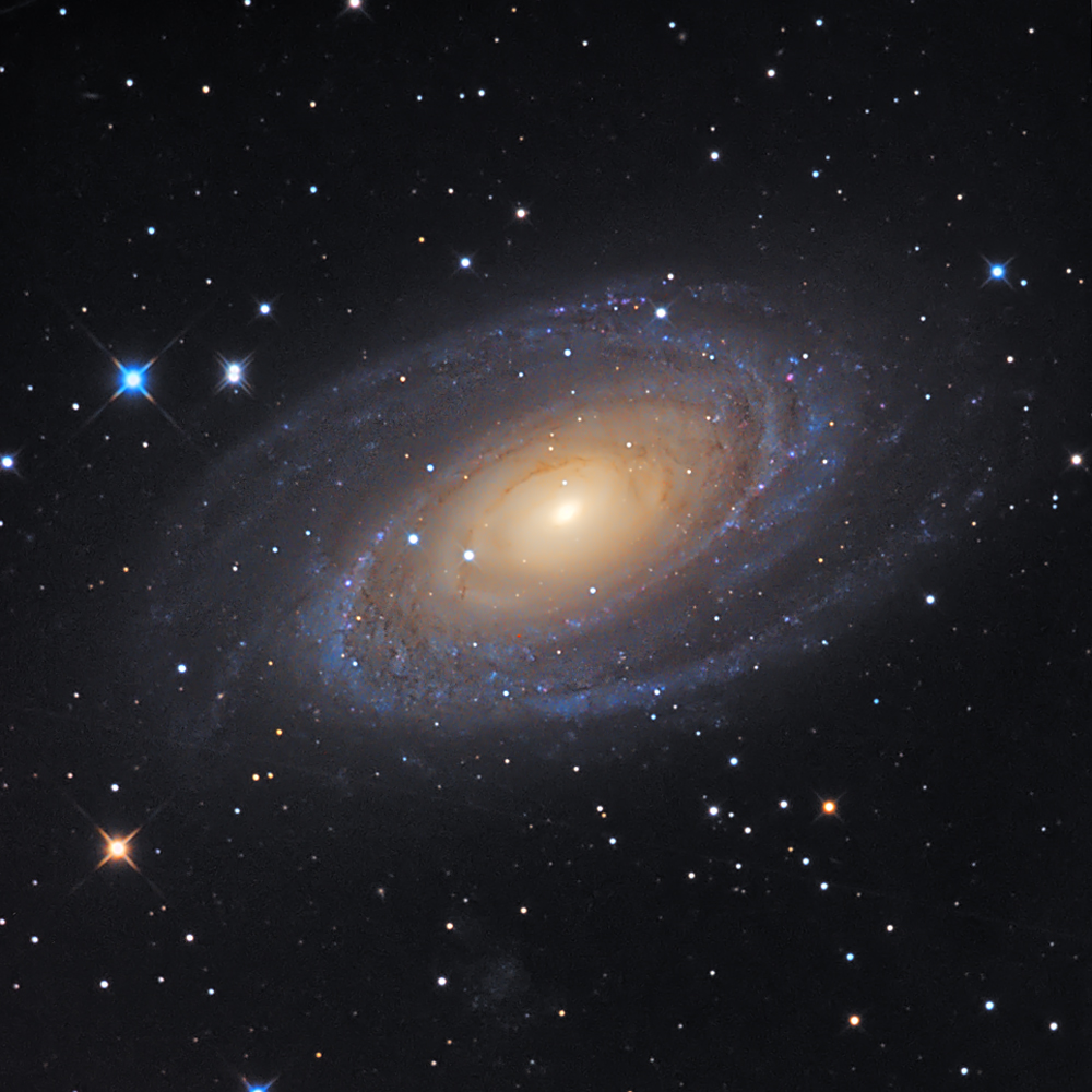 M81