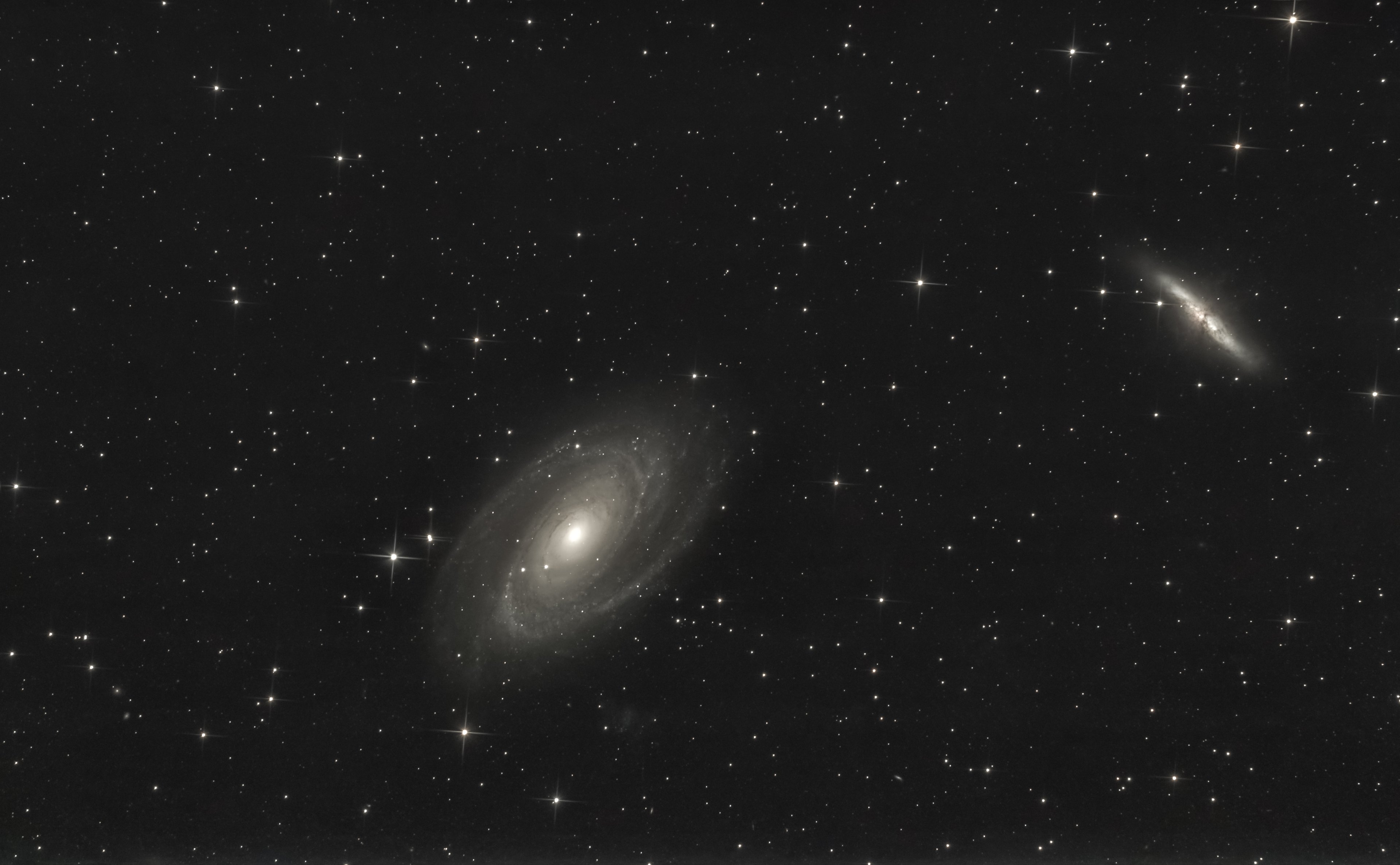M81neu-1.jpg