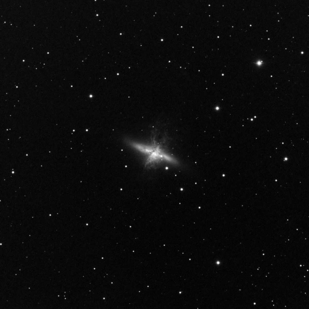M82 in Ha