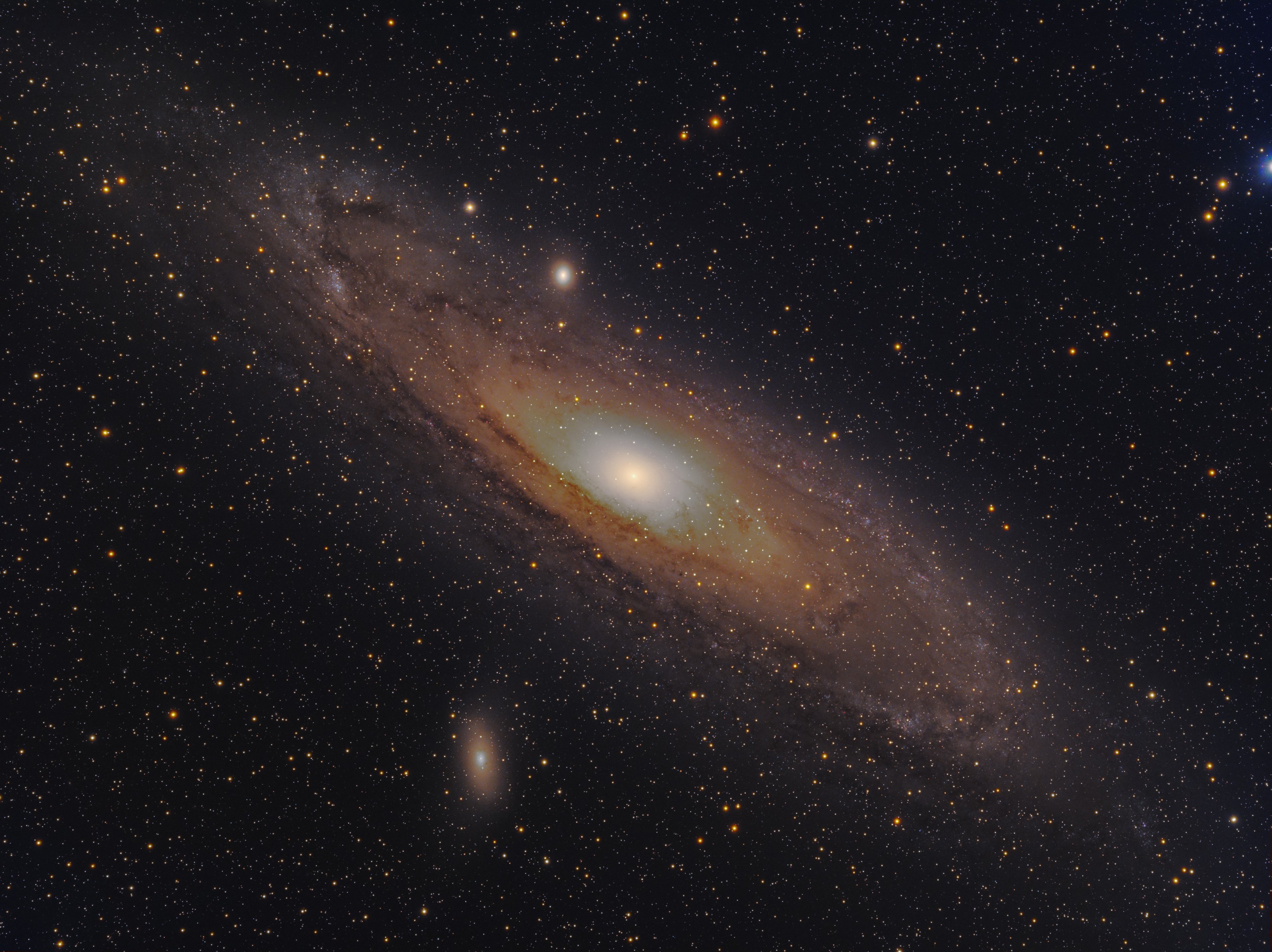 Mein Foto-Debüt: M31 Andromeda