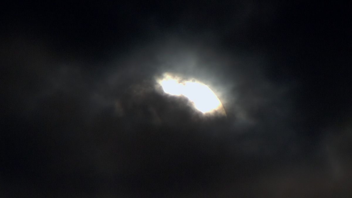 Mein Venustransit