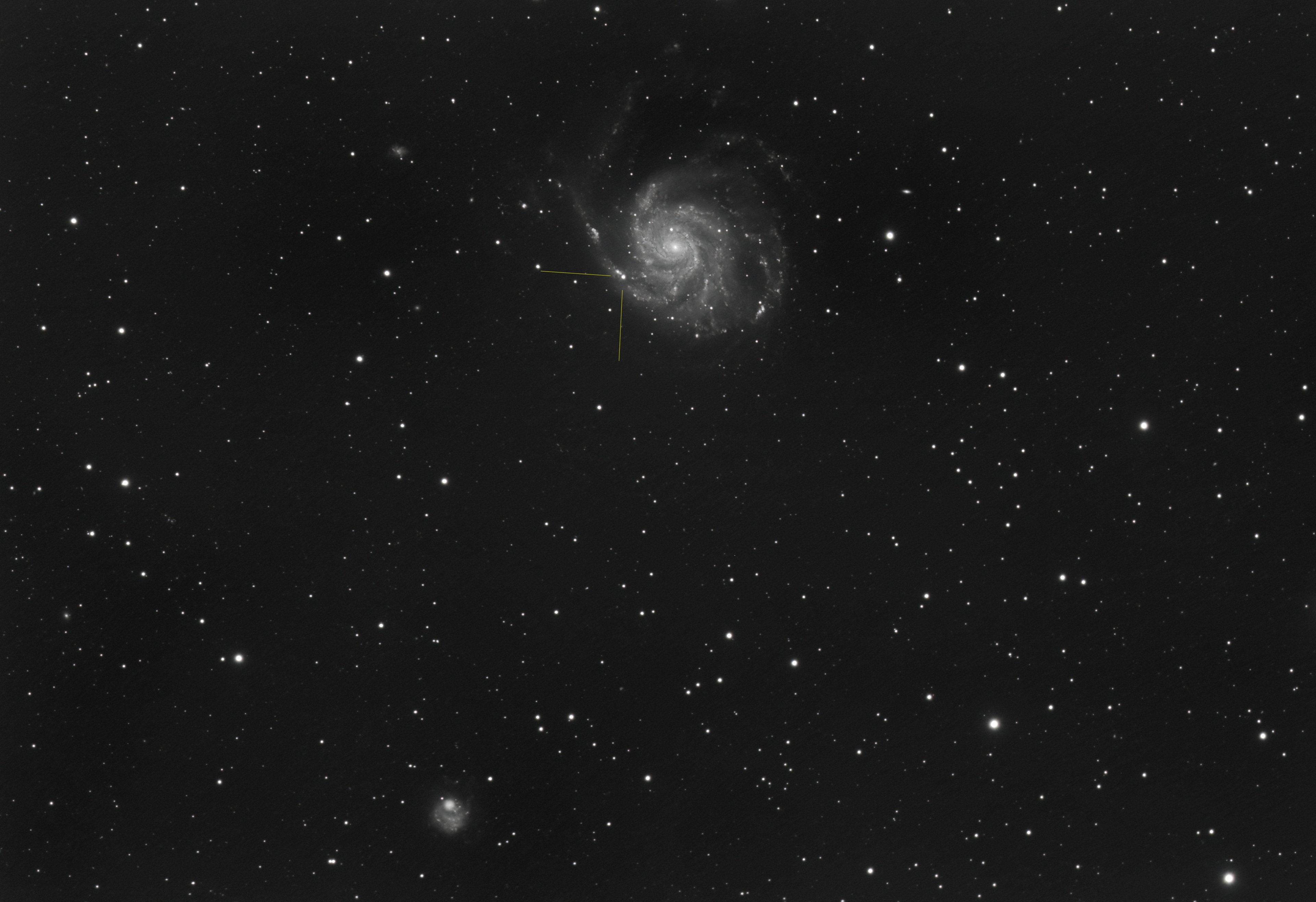 Messier 101 mit SN2023ixf_100x60s.jpg