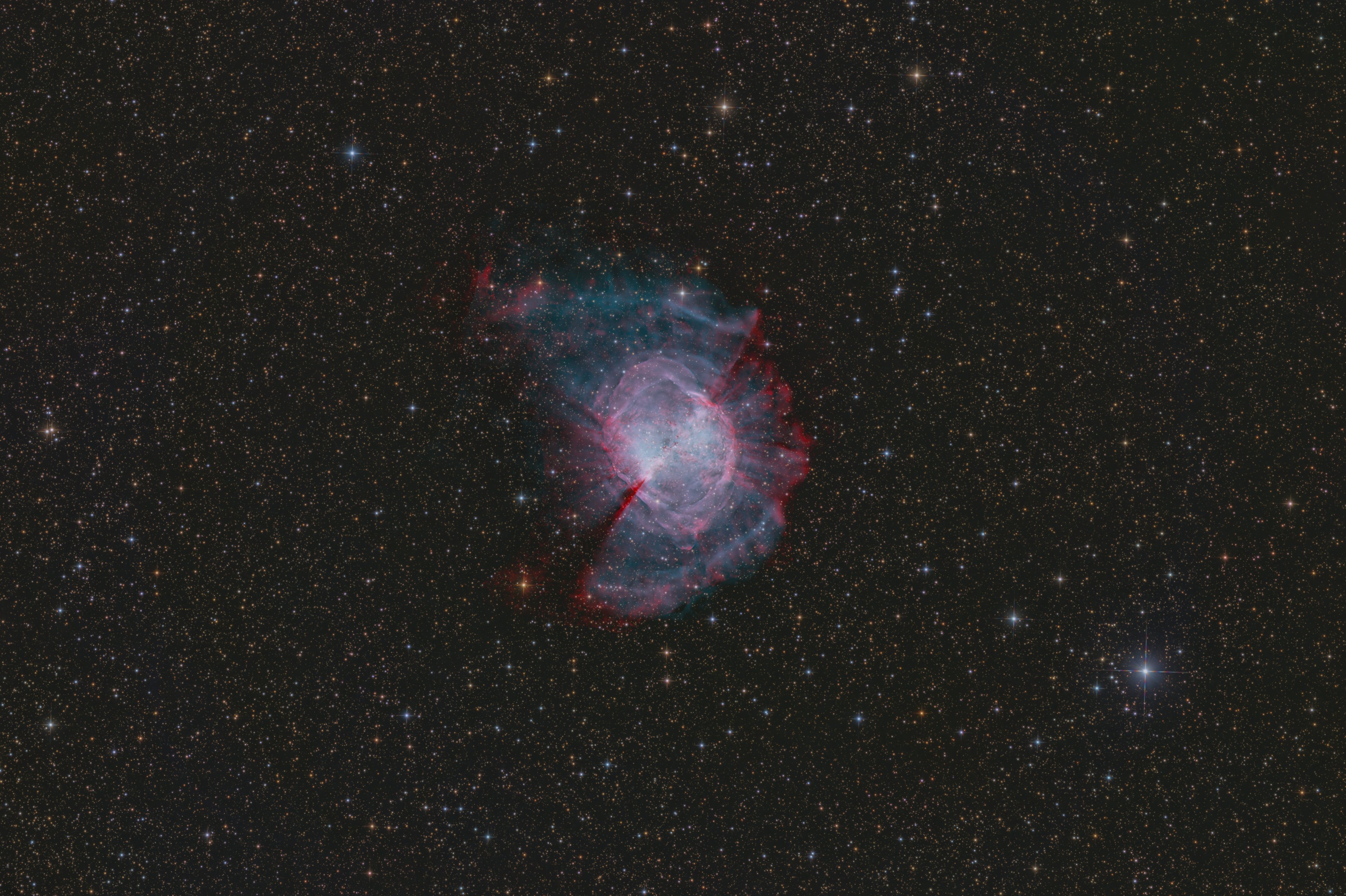 Messier 27 - Firstlight 12" F4 Newton