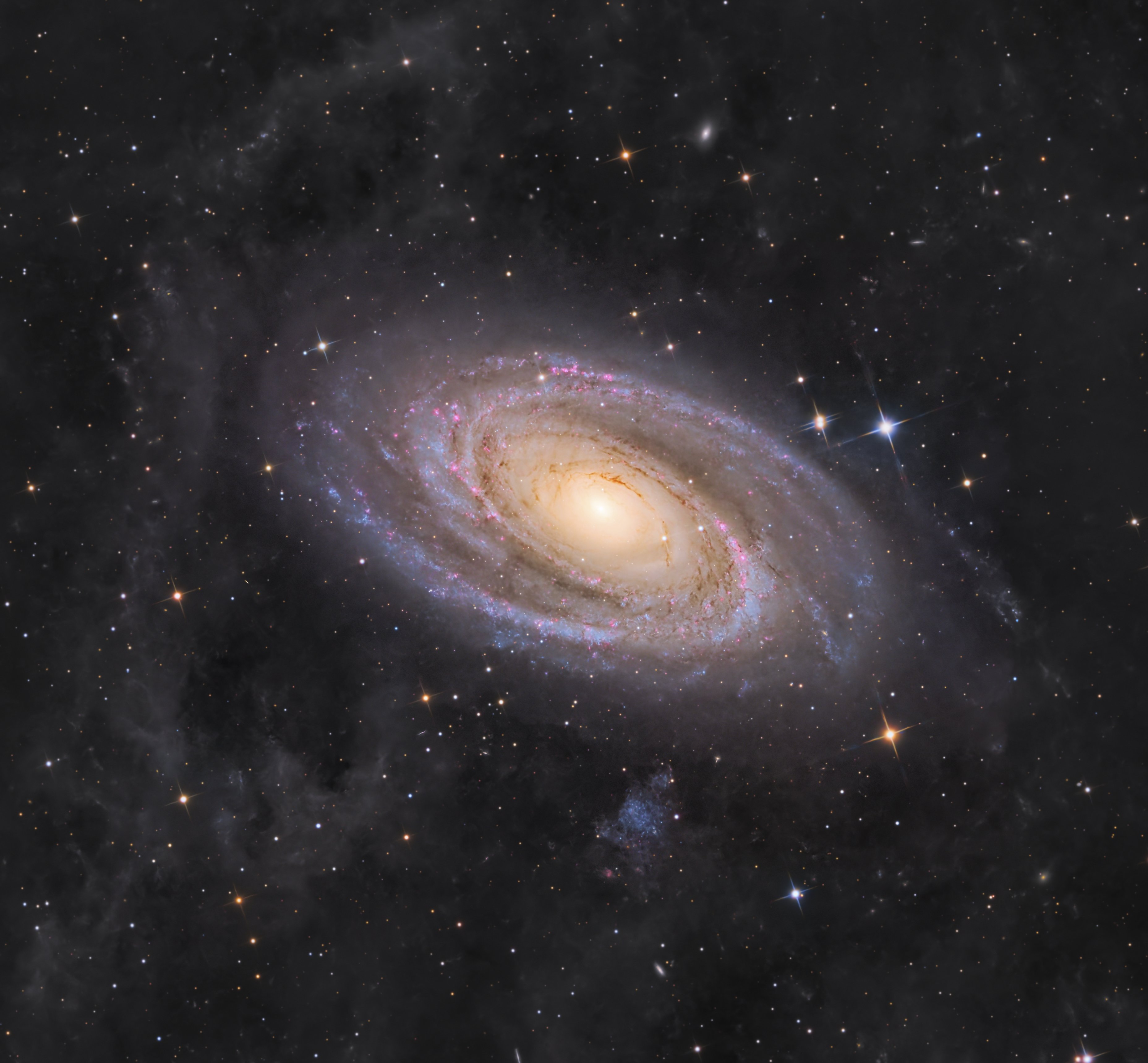 Messier 81 mit IFN