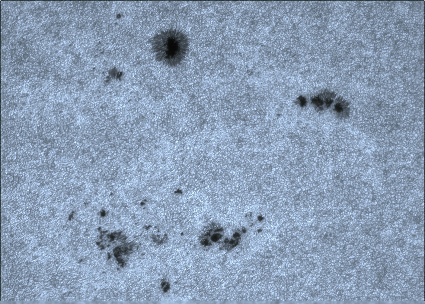 Mewlon 210 150523  10_51_17 .jpg