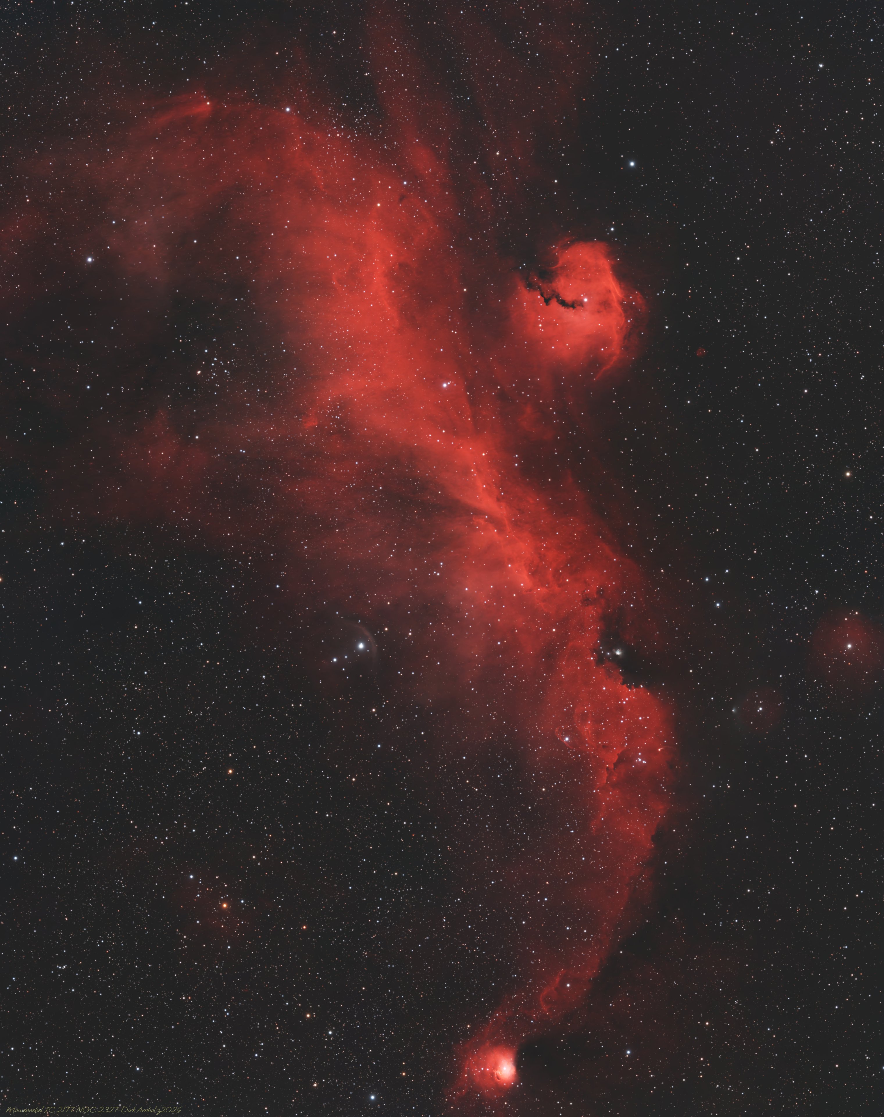 Möwennebel IC2177
