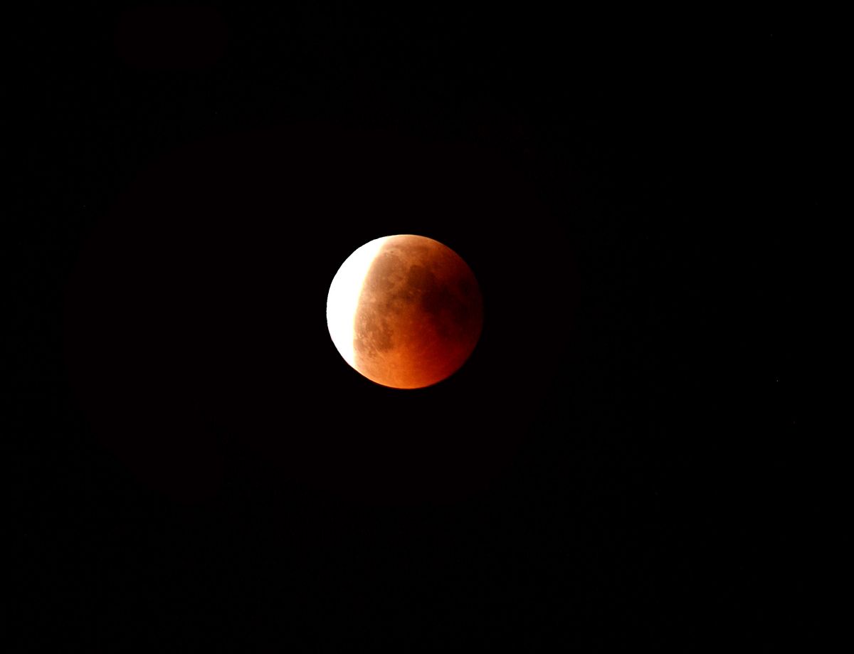 Mofi_15062011_PJ_001.jpg