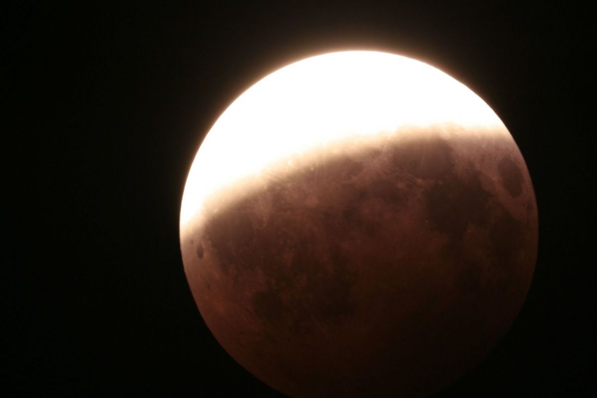 MoFi_20080816_2.jpg