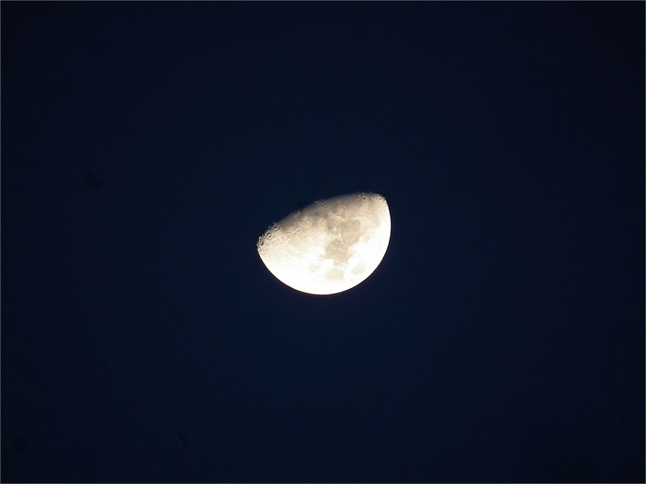 Mond die 1ste