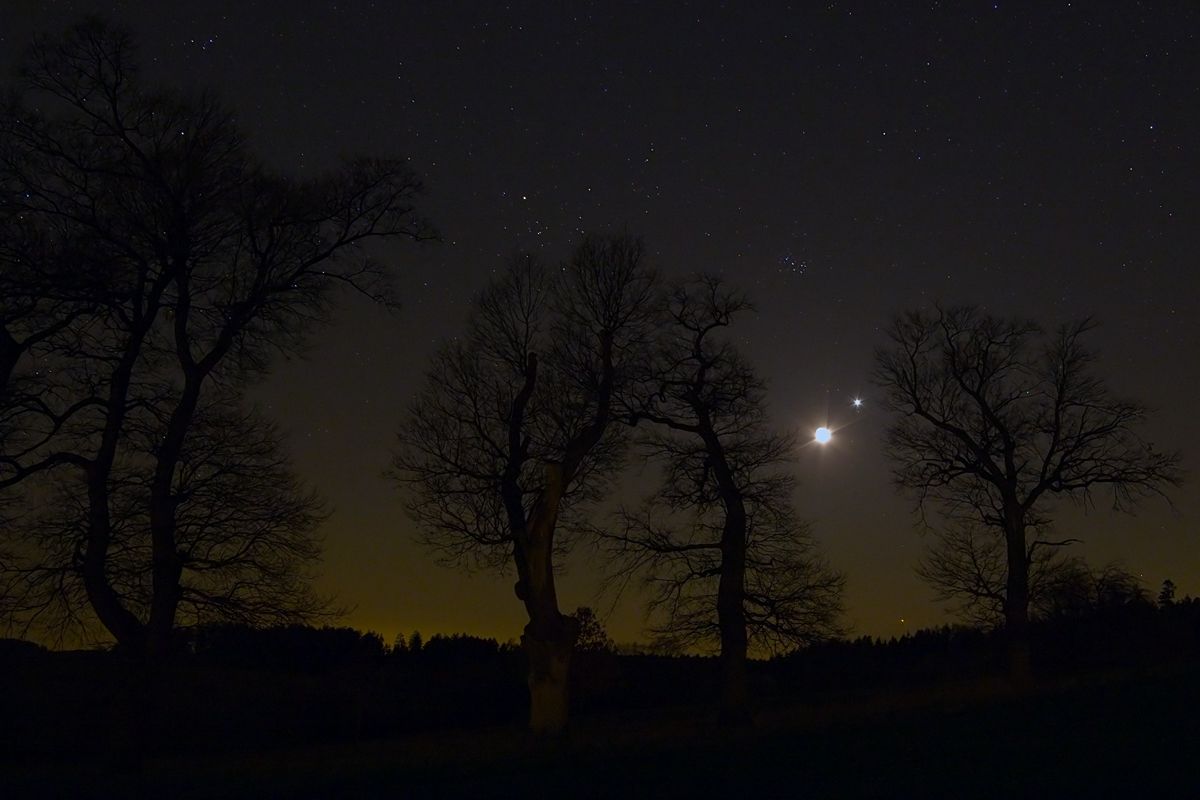 Mond&Venus&Jupiter&Eichen-16_small.jpg