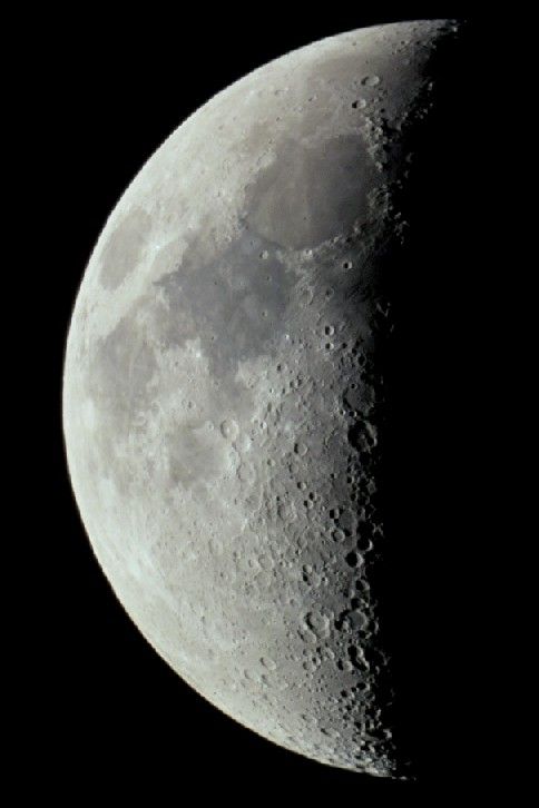 Mond
