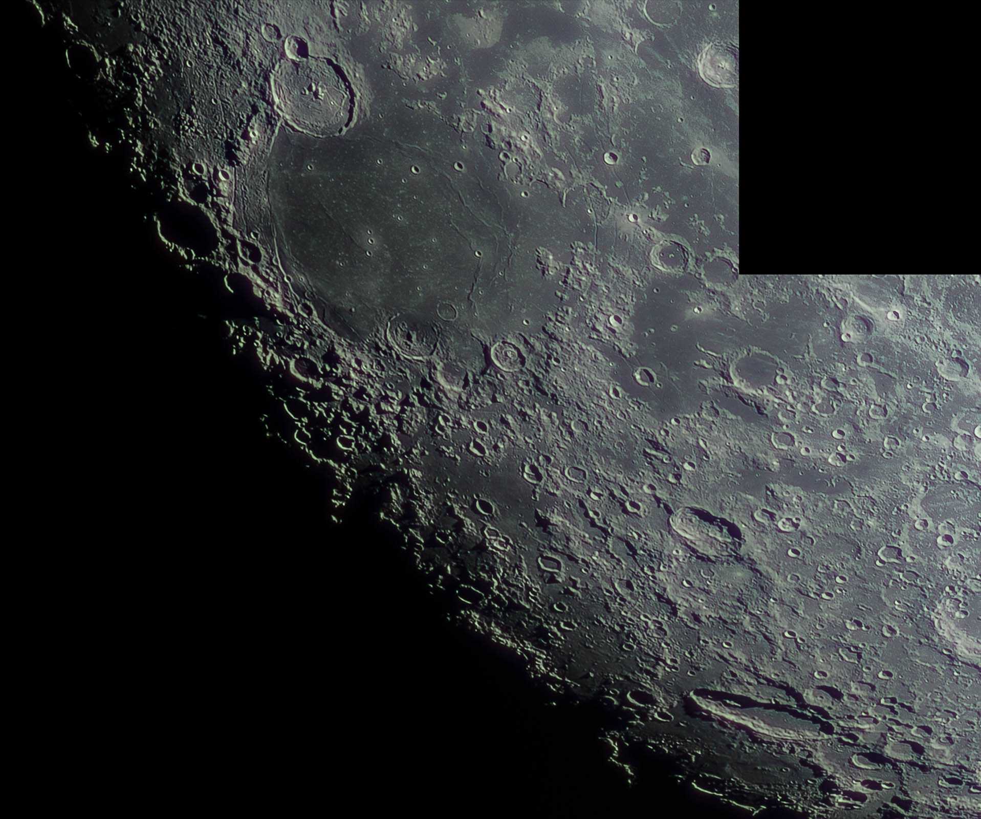 Mond