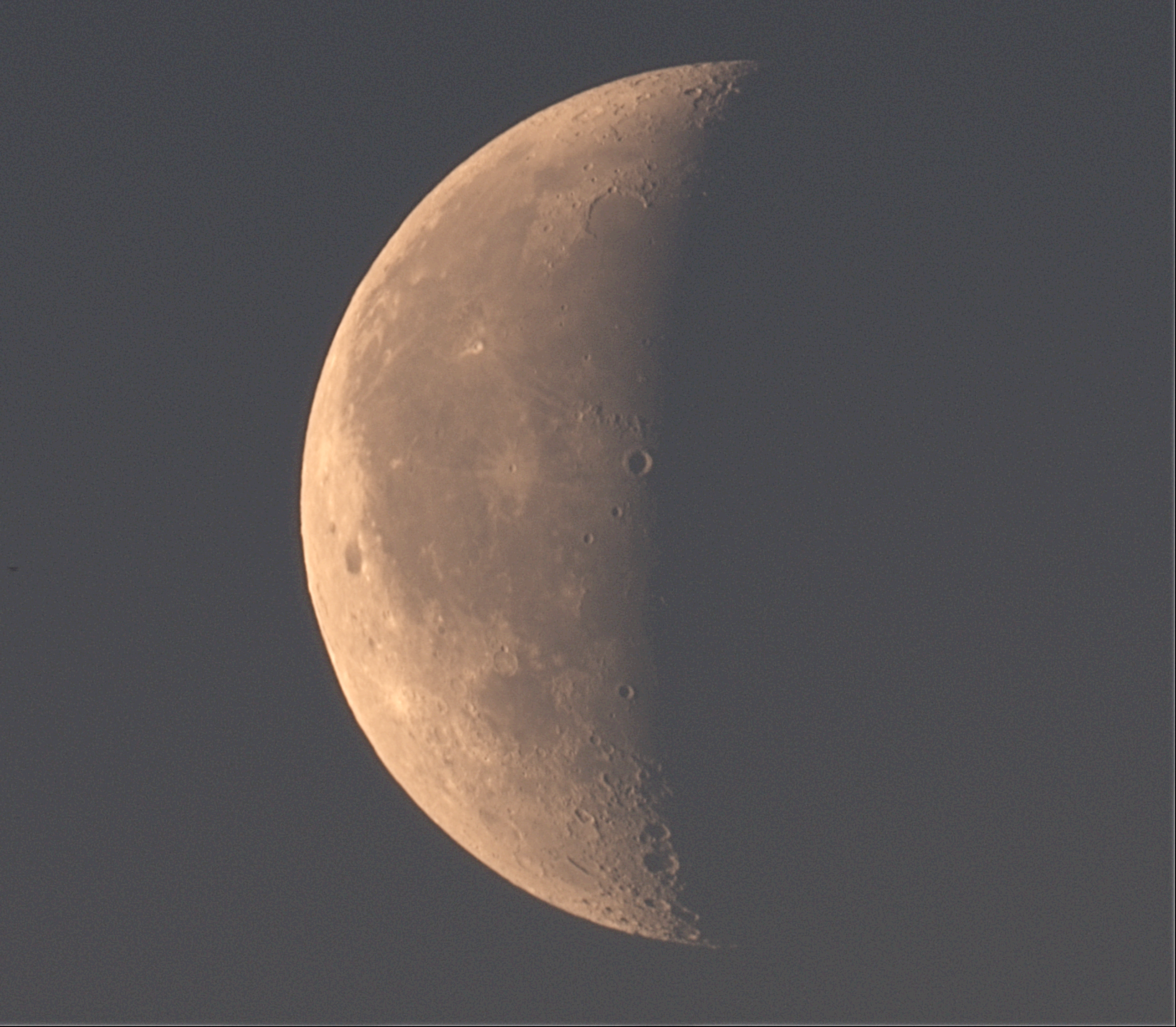 Mond