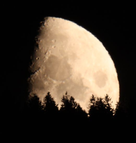 mond1.jpg