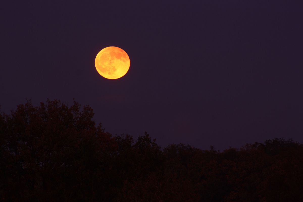 Mondfinsternis / Mondaufgang 10.12.2011