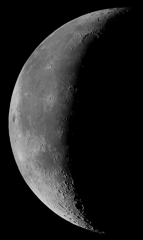 Mondmosaik vom 1.8.2013