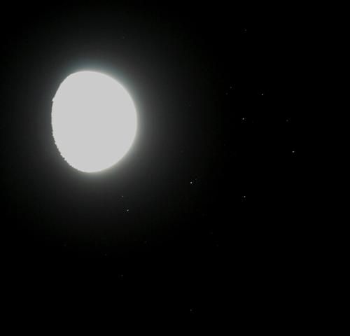mople1.JPG