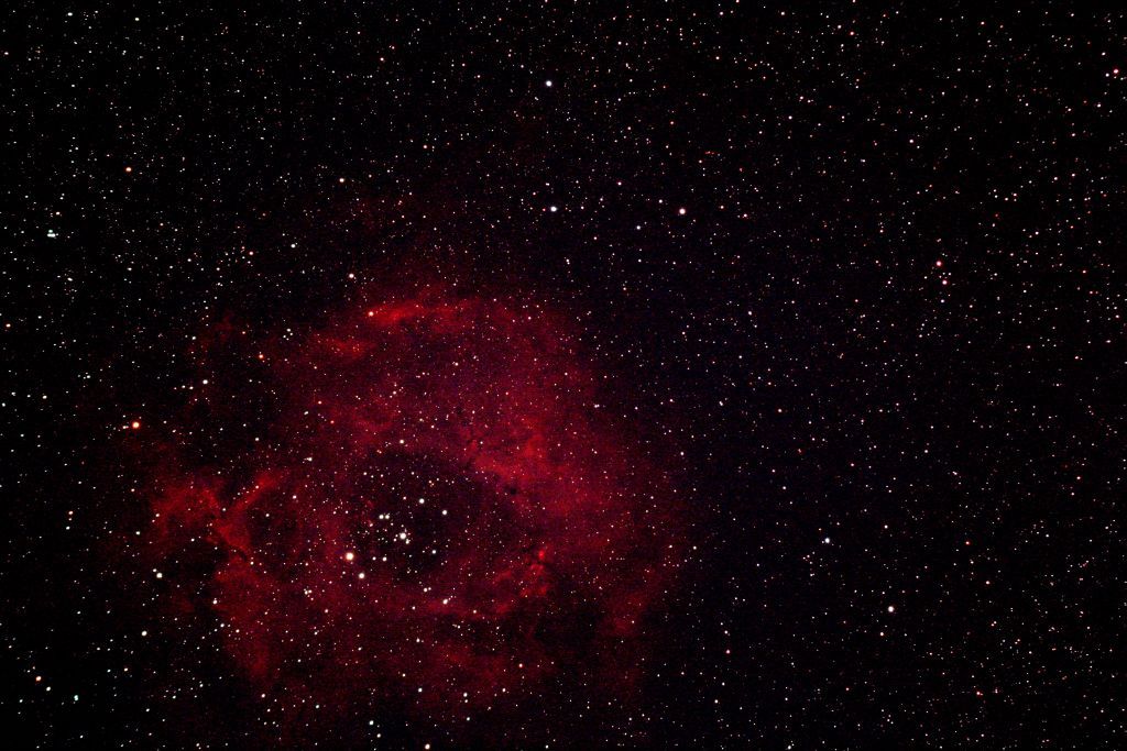 NCG2238