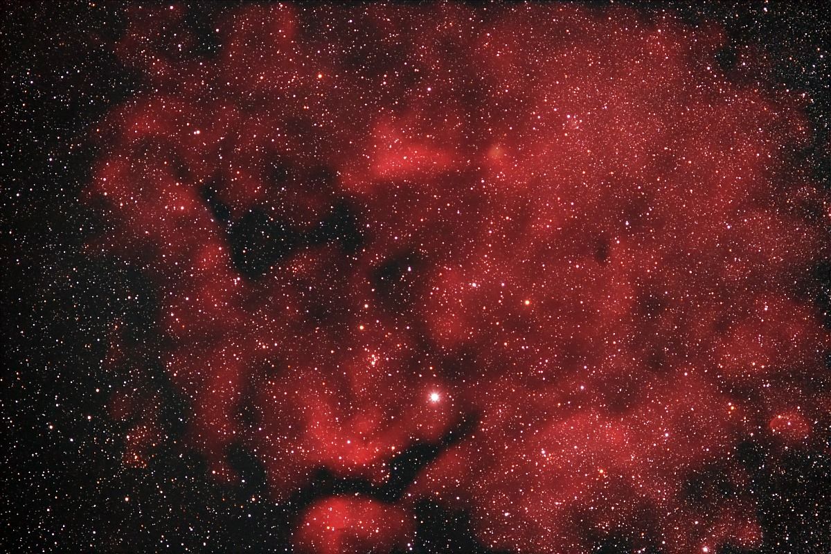Nebel um Sadr IC1318