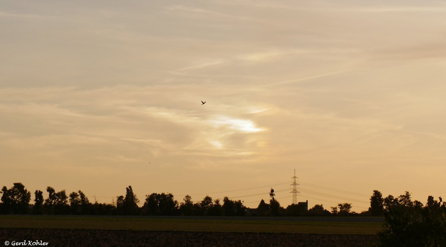 Nebensonne
