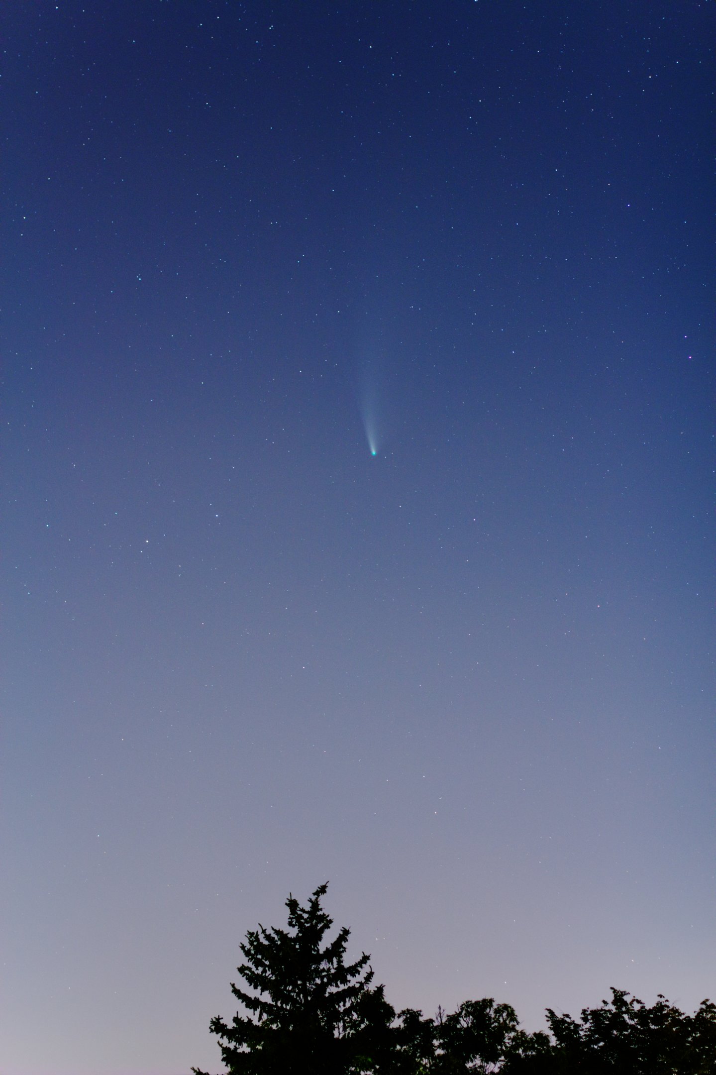 Neowise bei 50mm
