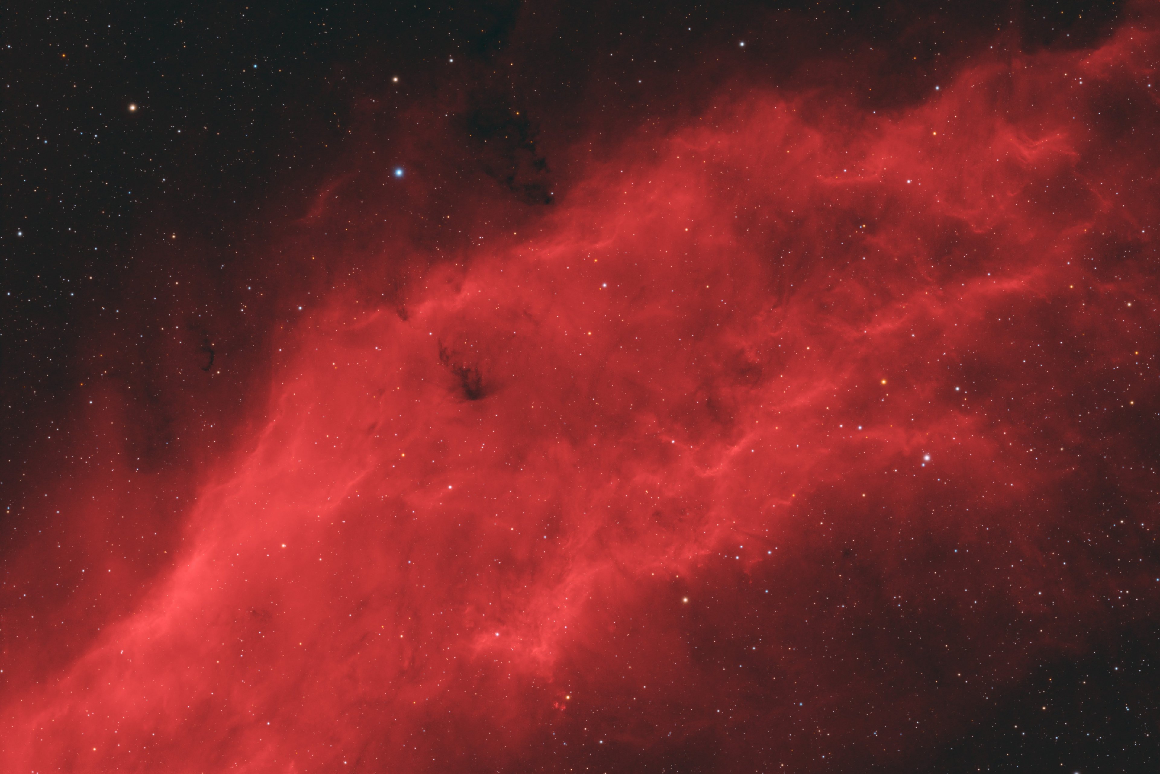 NGC 1499, der Californiennebel
