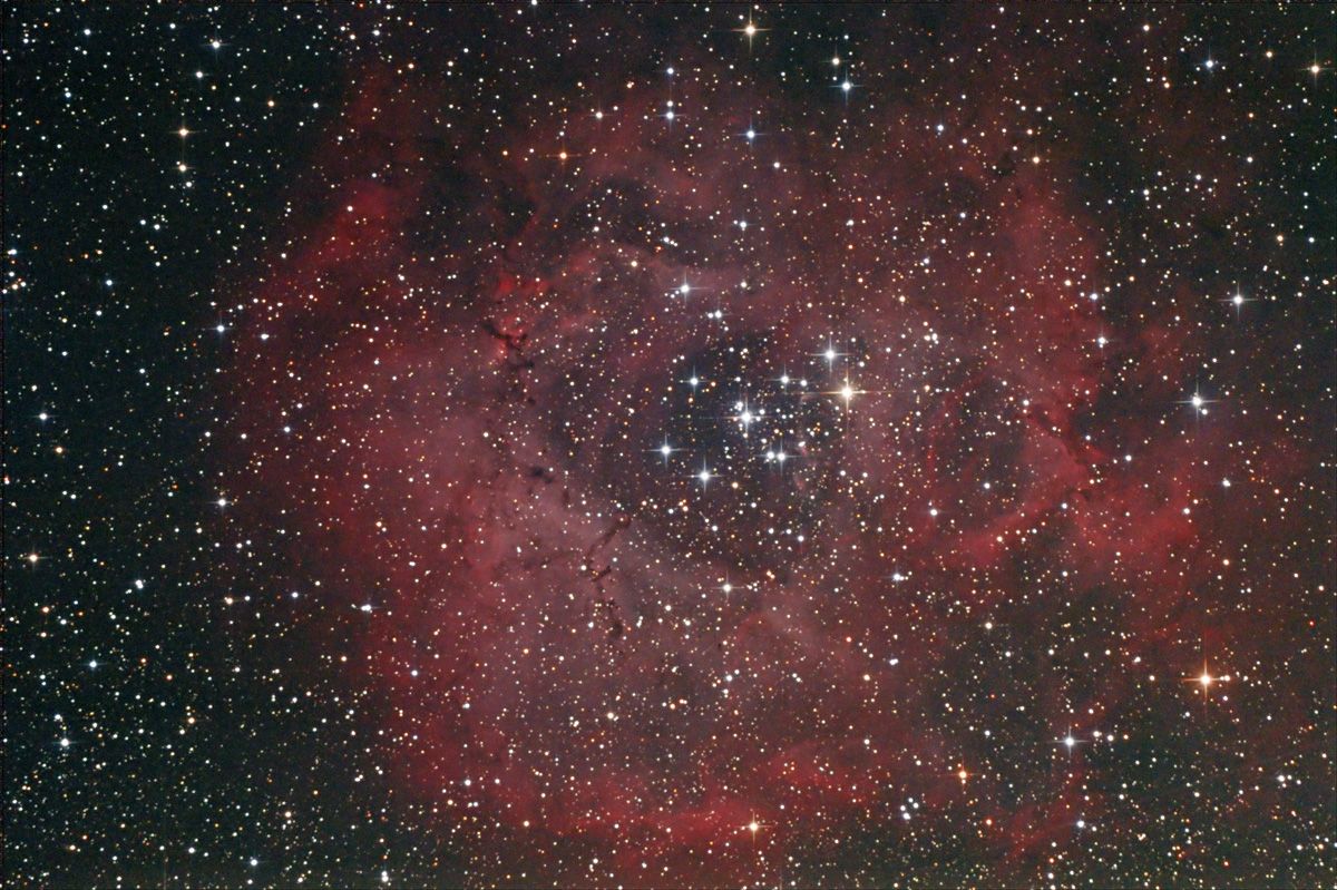 NGC 2238 Rosetten-Nebel 13.11.2010