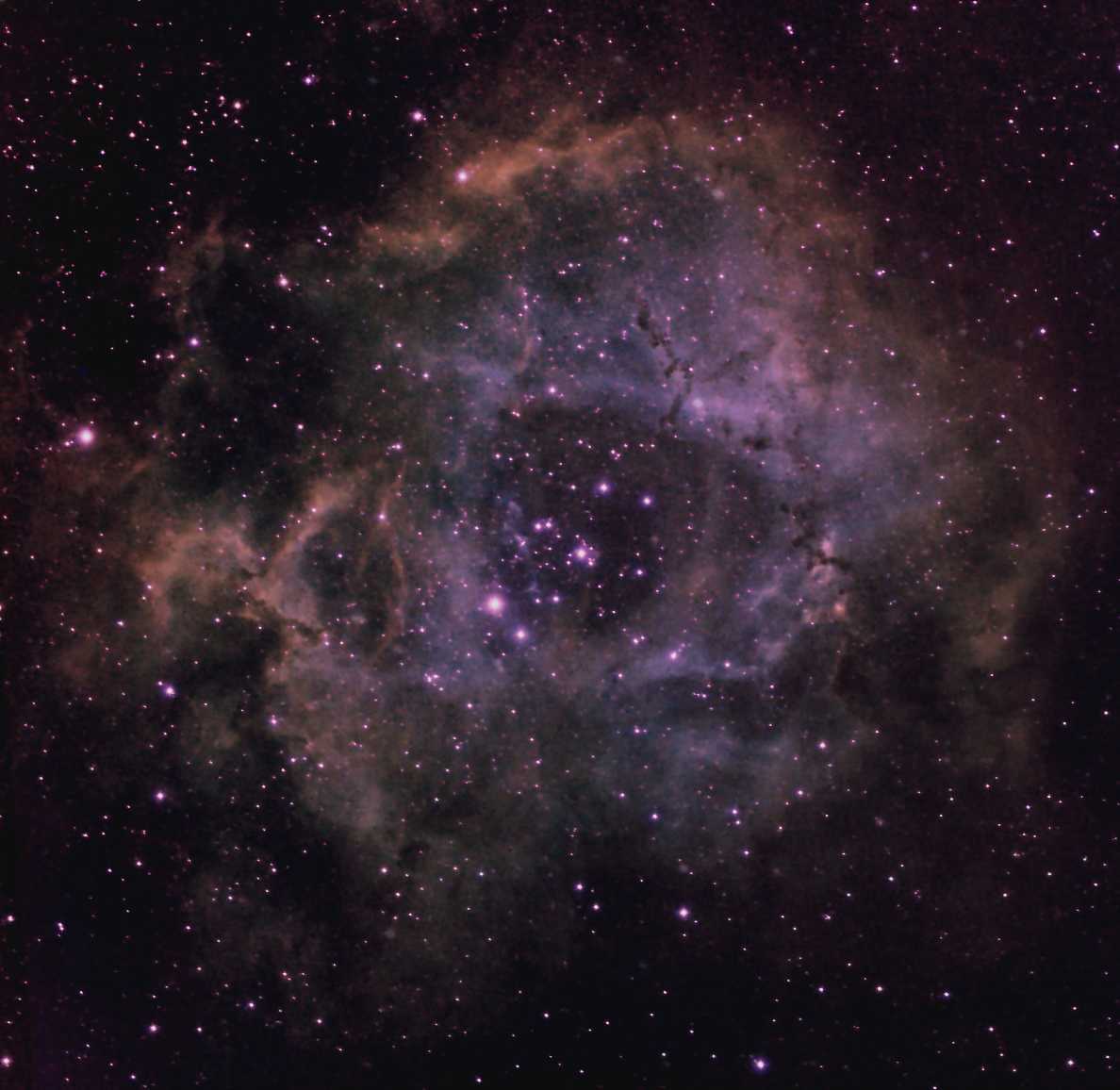 NGC 2244 ; Rosetten-Nebel Tricolour