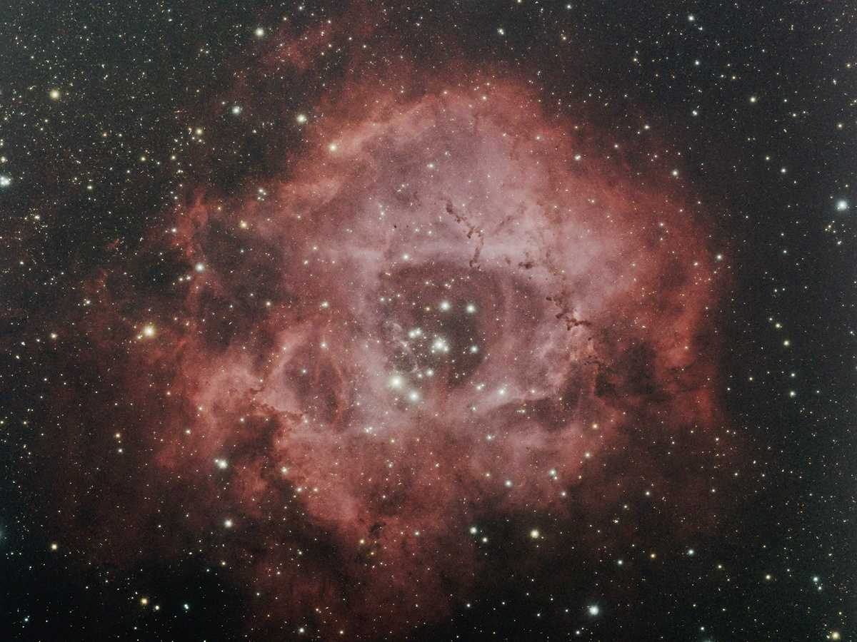 NGC 2244 Rosetten-Nebel