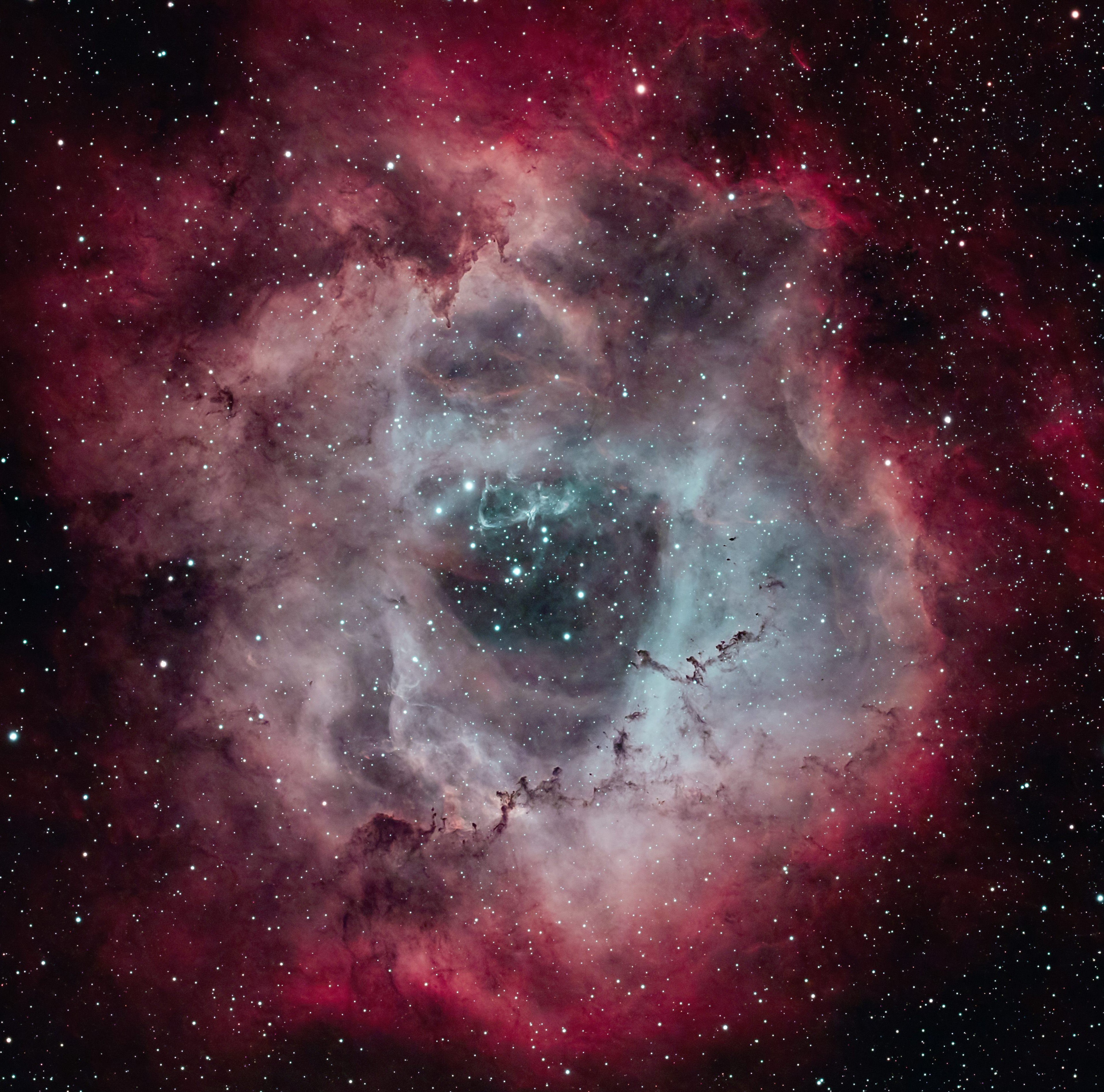 NGC 2244 Rosettennebel