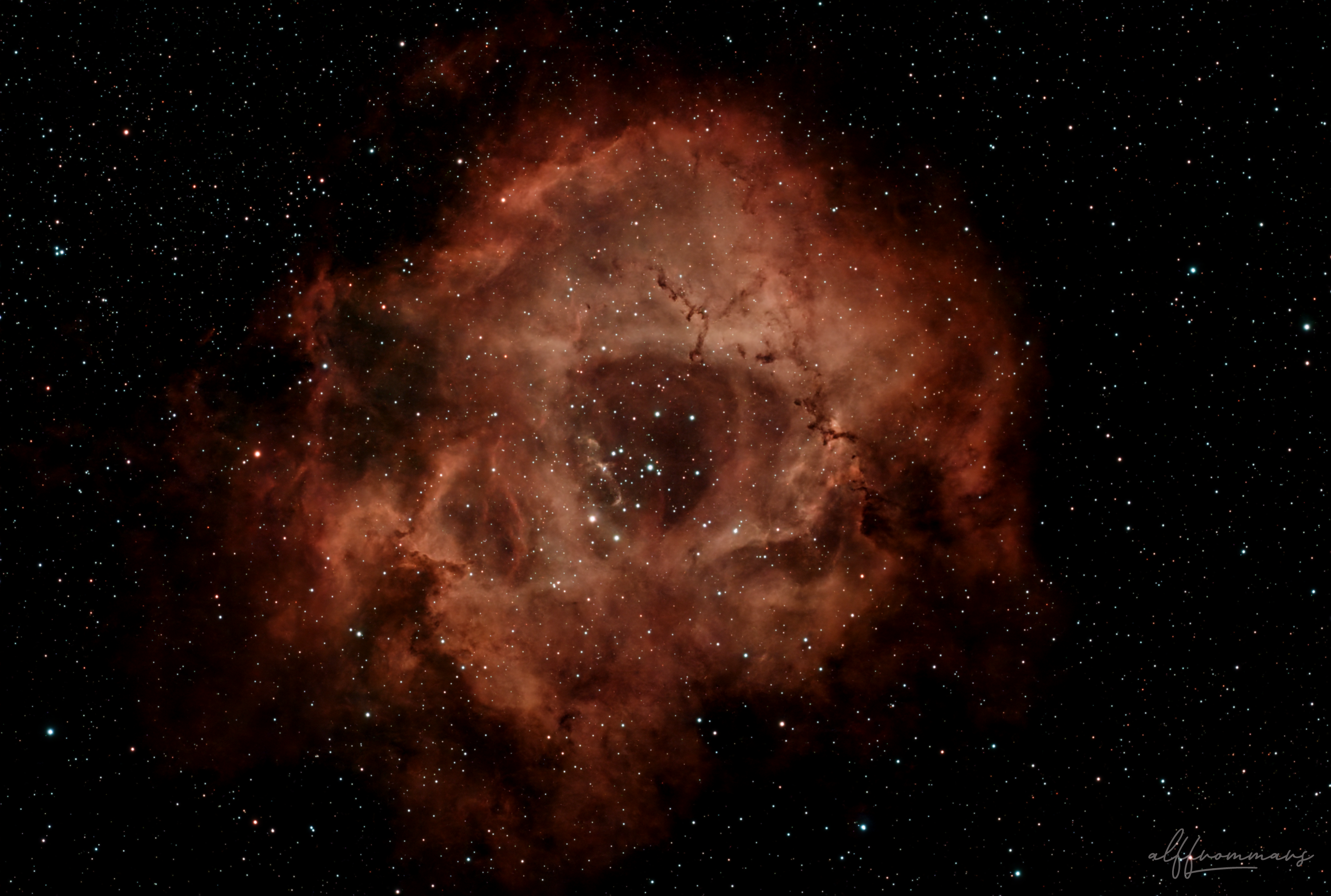 NGC 2244 - Rosettennebel