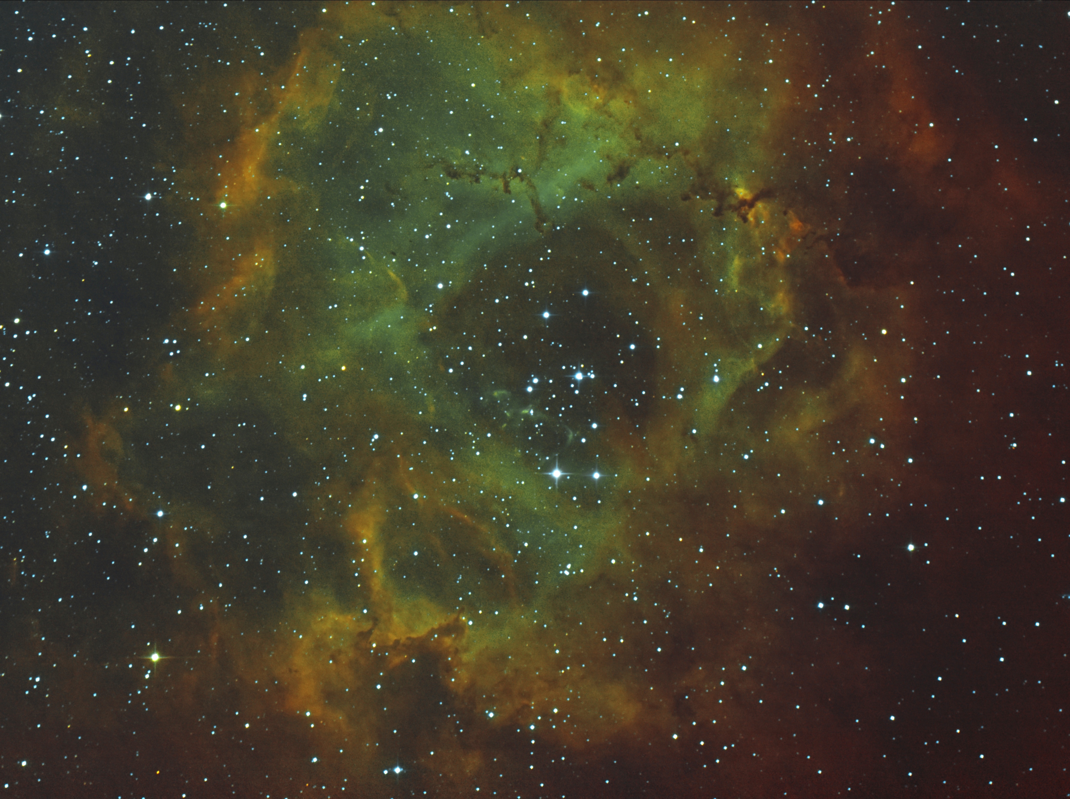 NGC 2244