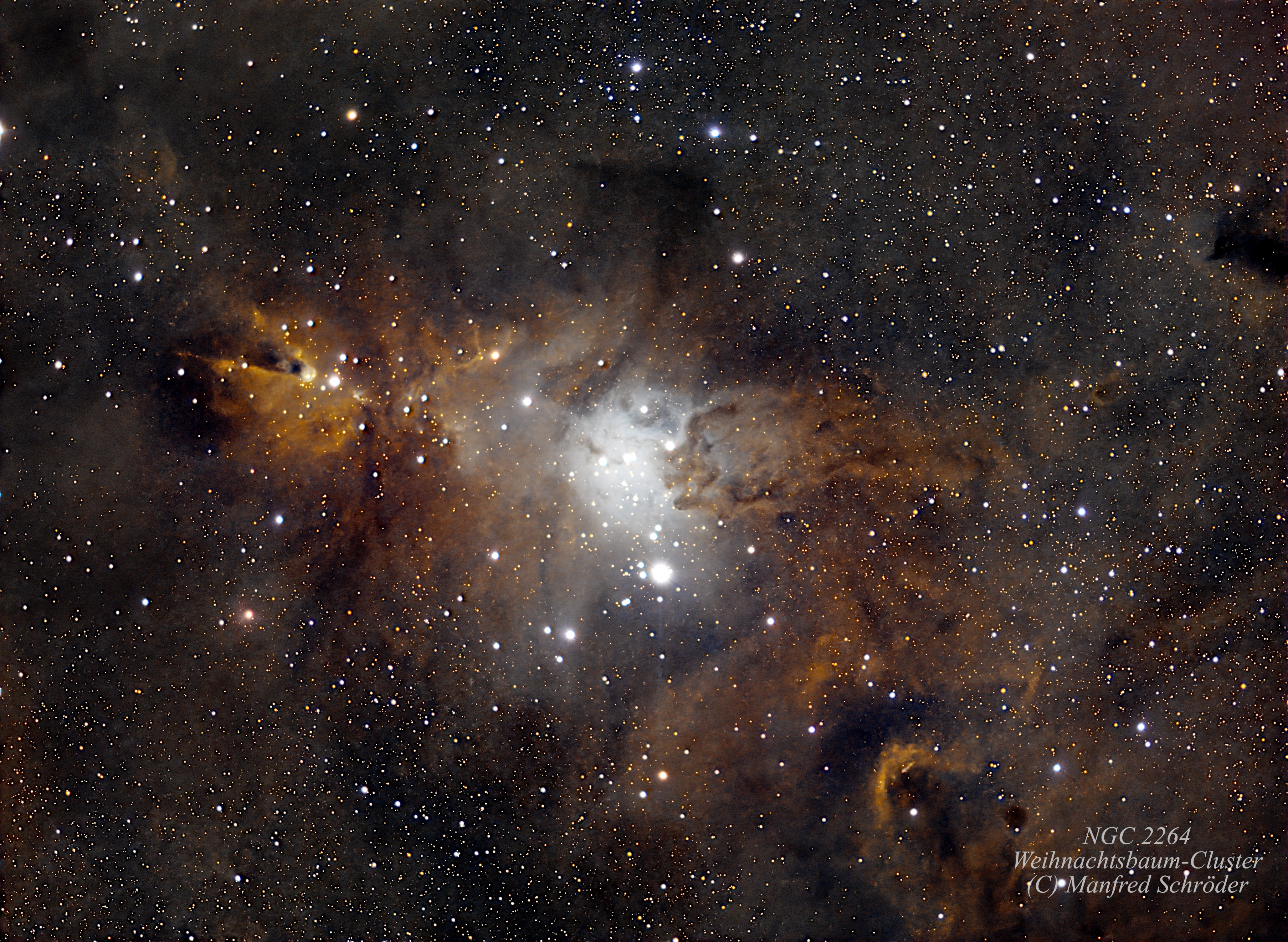 NGC 2264 Weihnachtsbaum-Cluster