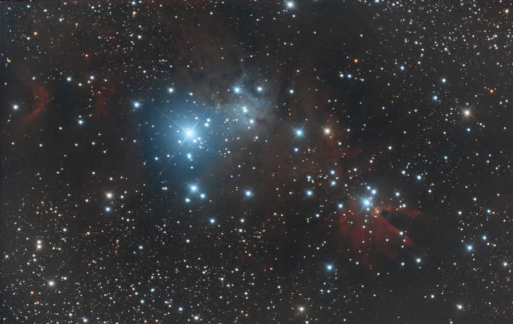 NGC 2264