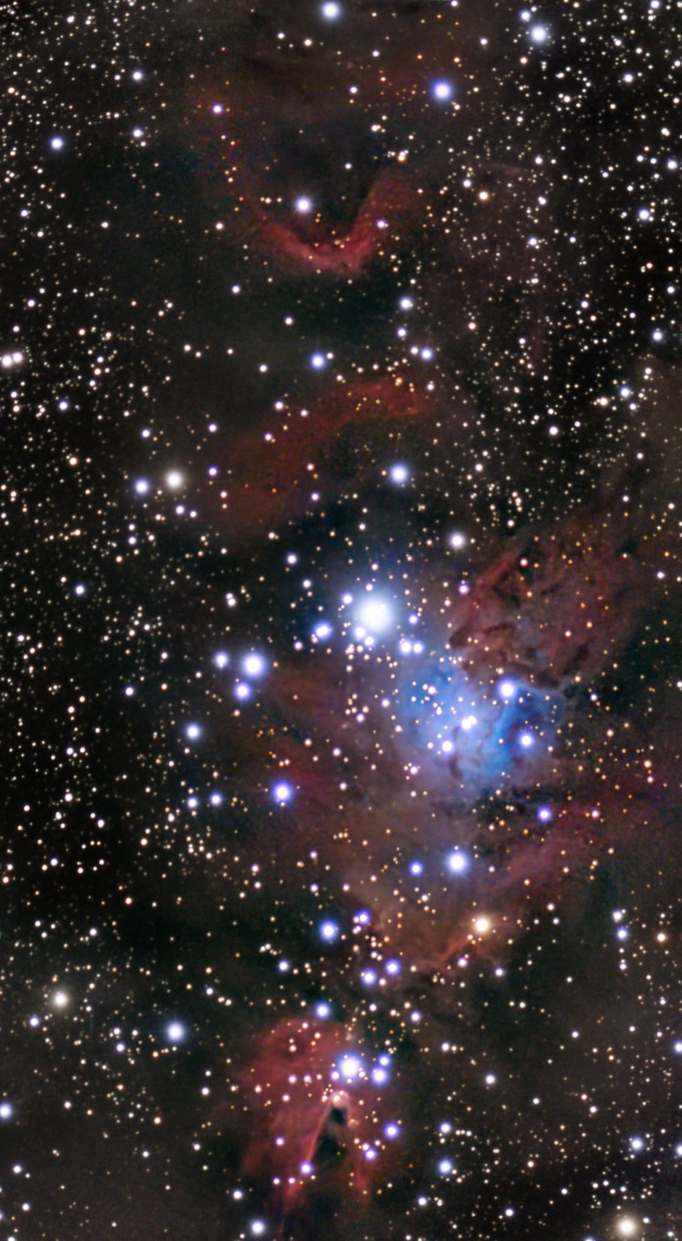 NGC 2264