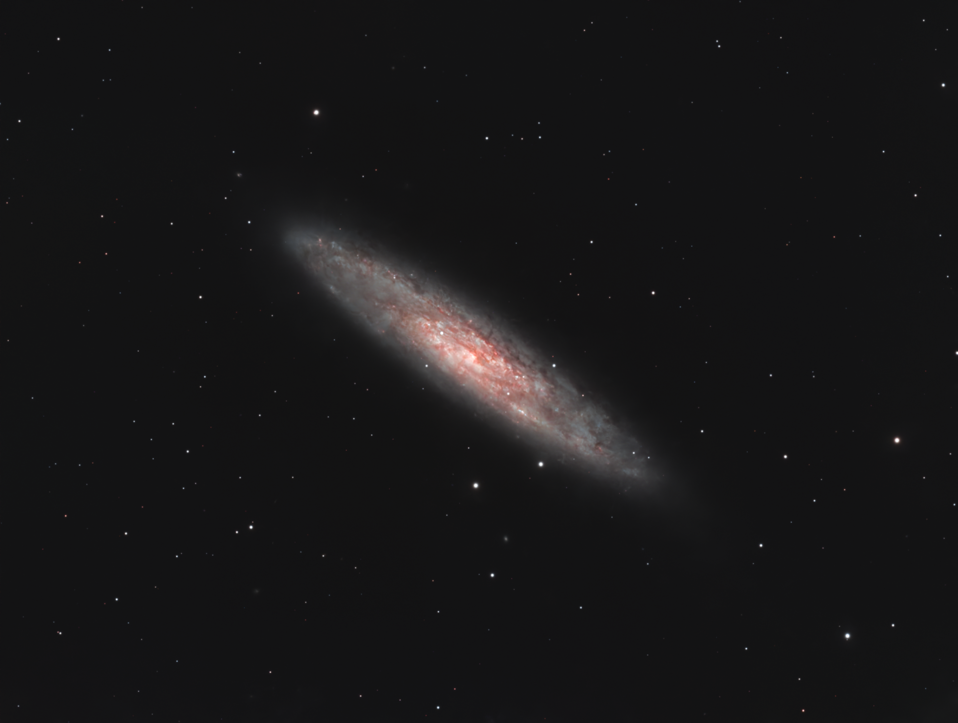NGC-253 Sculptor-Galaxie