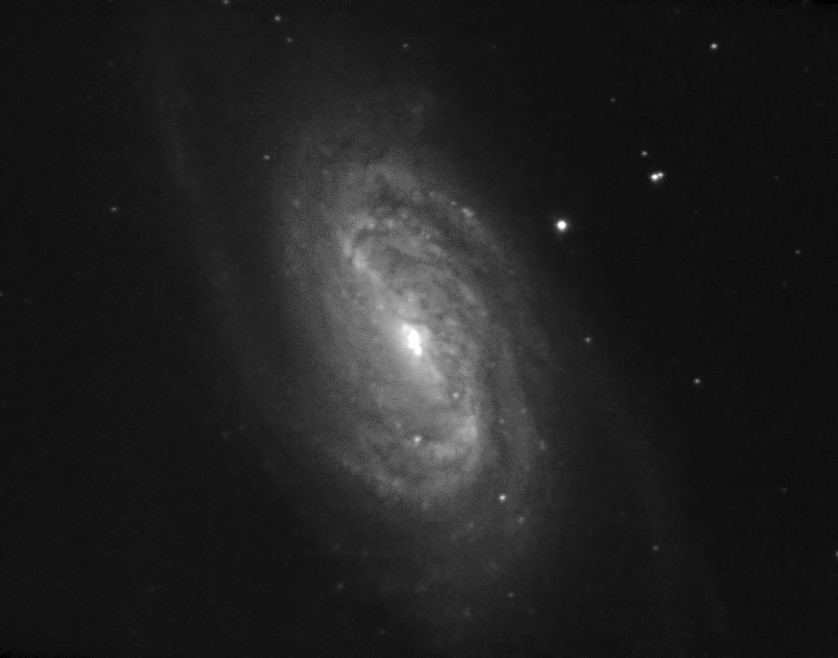 NGC 2903 mit 12" Dobson & Asi120mm