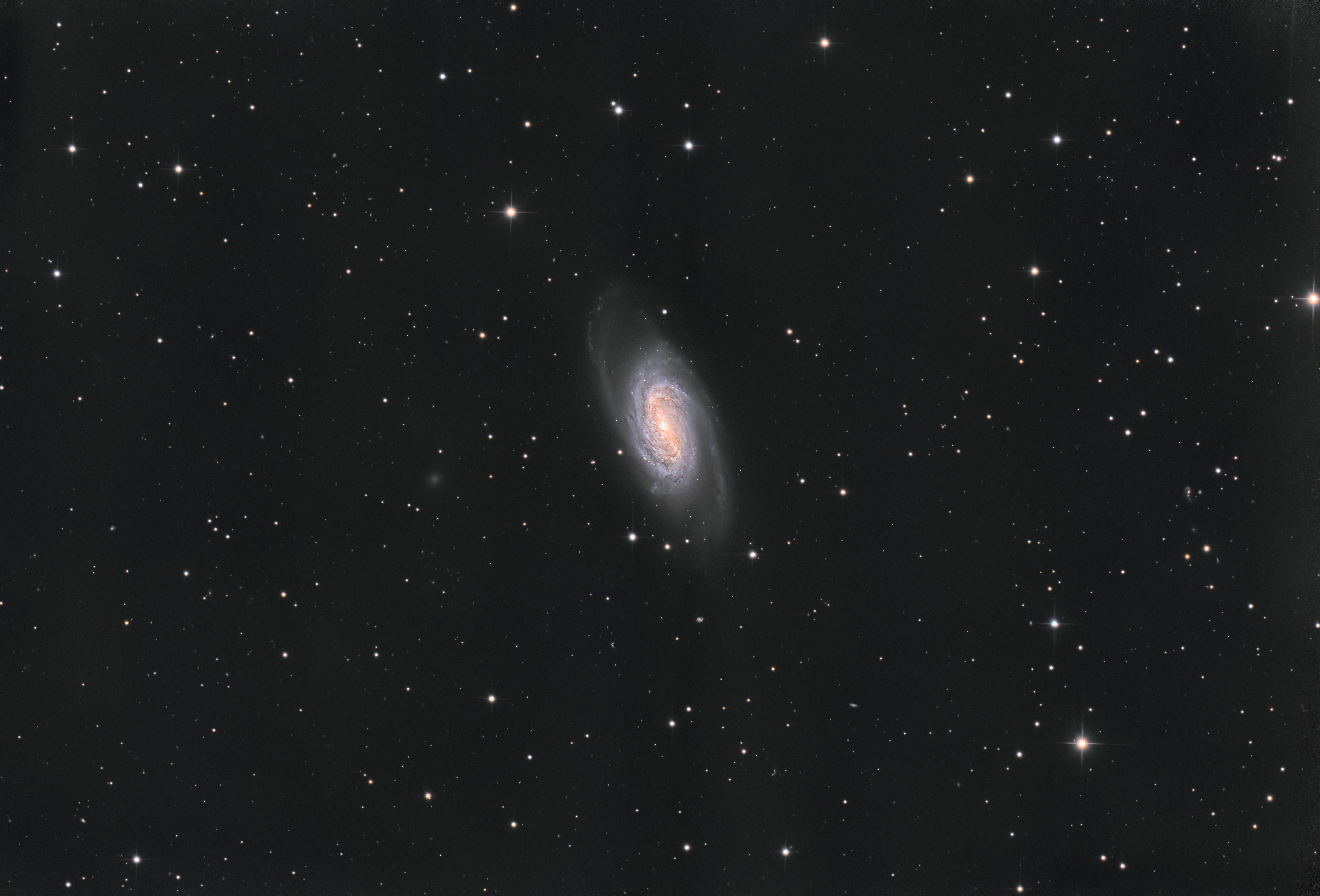 NGC 2903 - widefield - Gotthard Stuhm.jpg