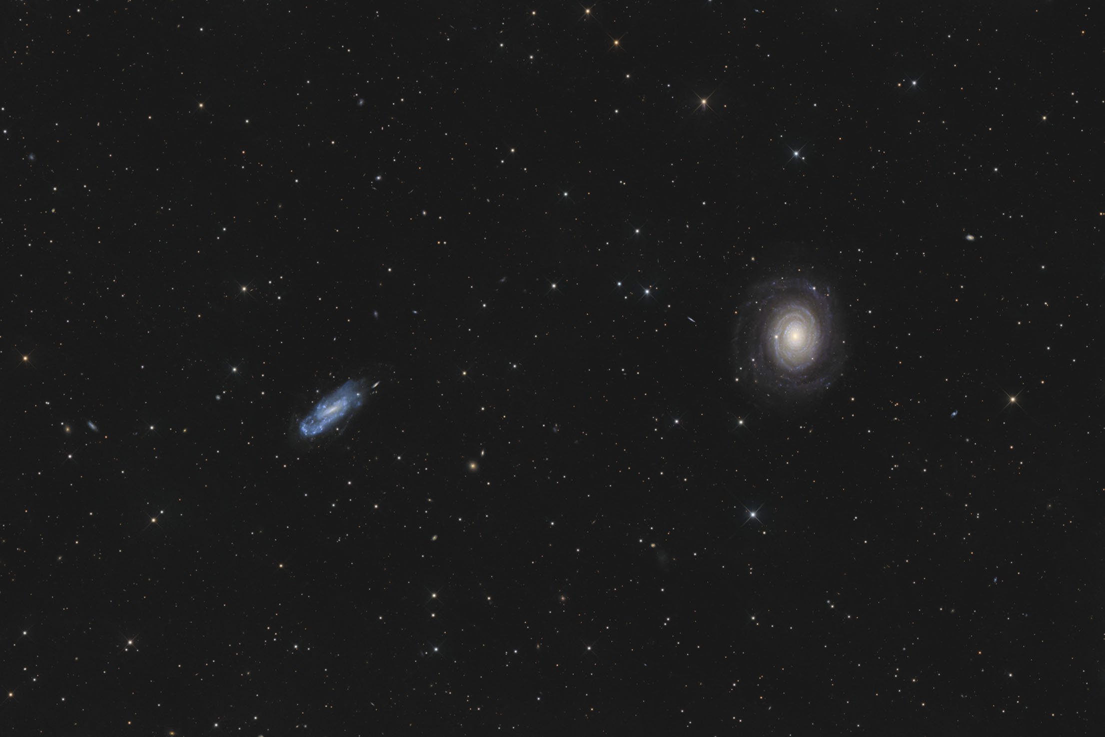 NGC 2985 und NGC 3027