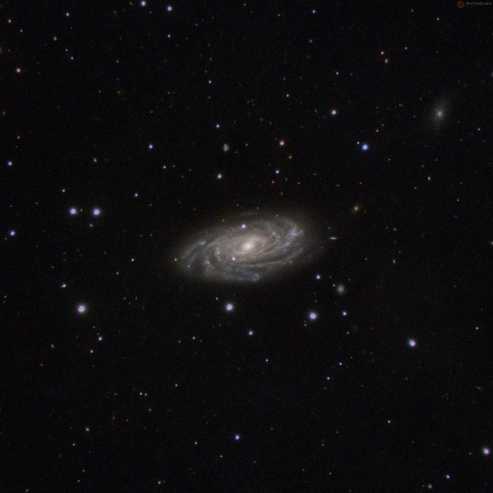 NGC 3953