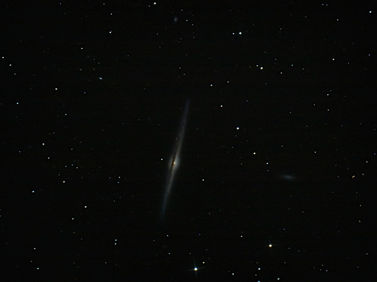 NGC 4565