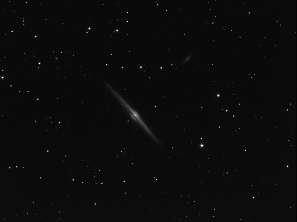 NGC 4565