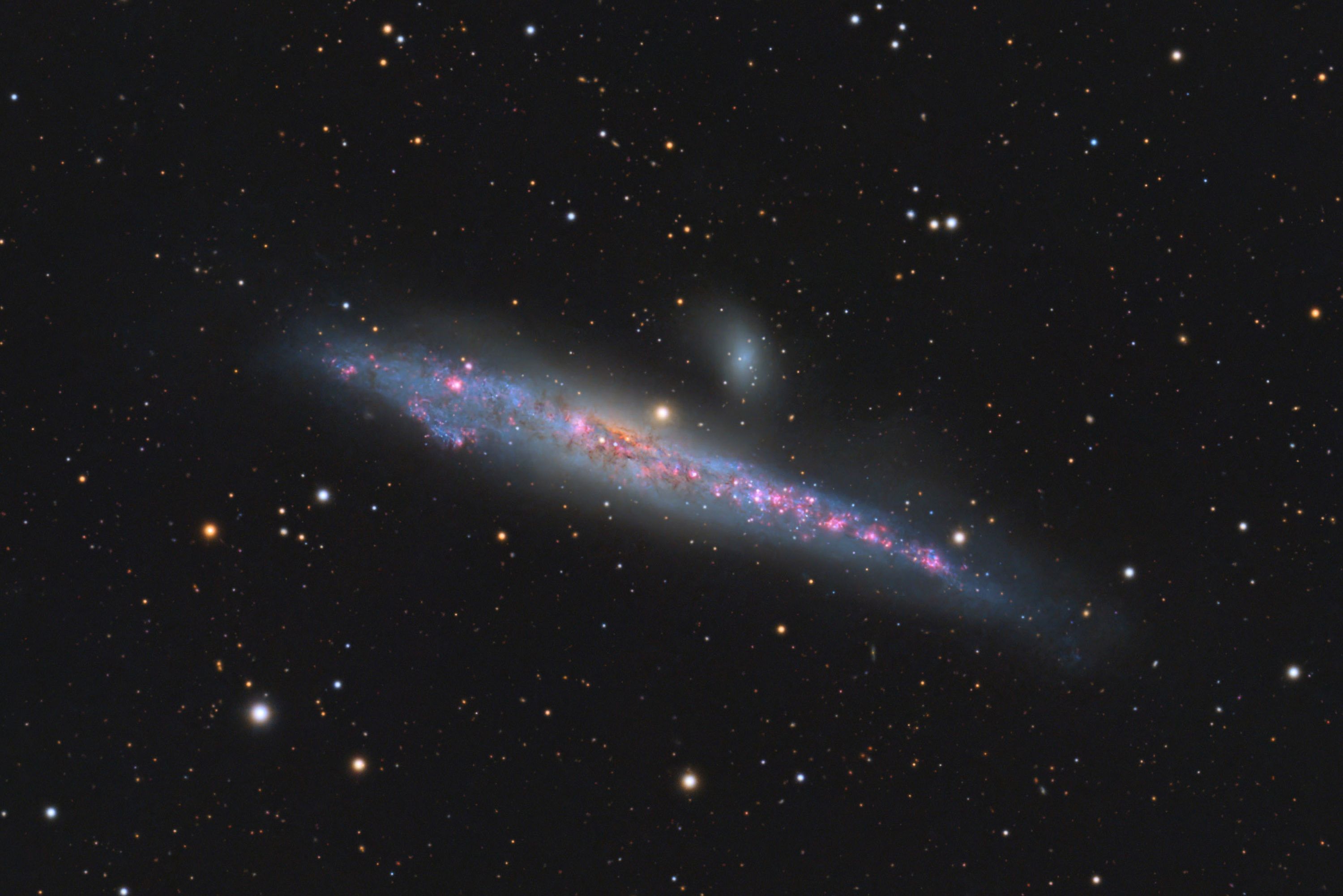 NGC 4631 – Die Walgalaxie | Forum Astronomie.de
