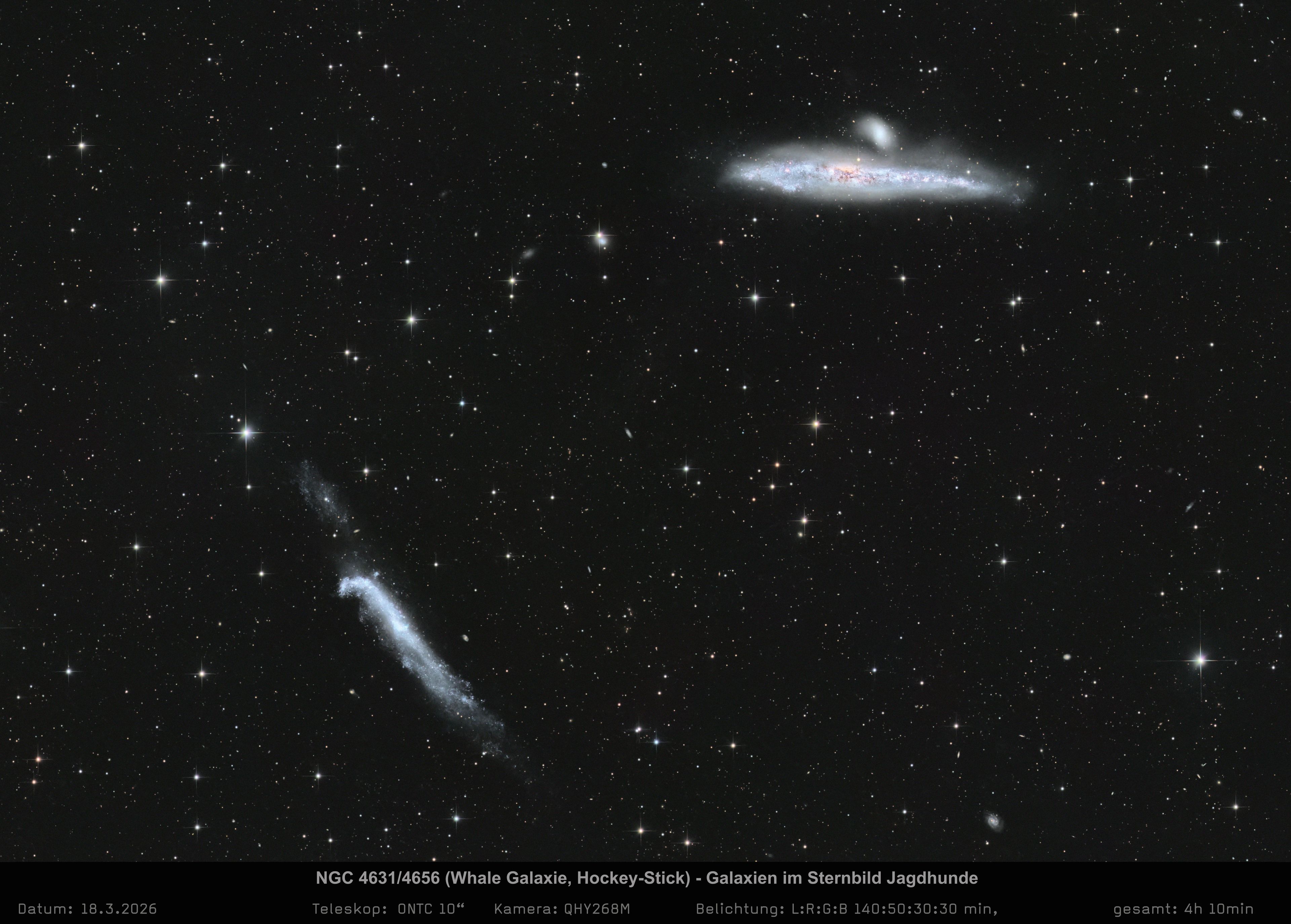 NGC 4631 und NGC 4656 - Walfisch und Hockeyschläger
