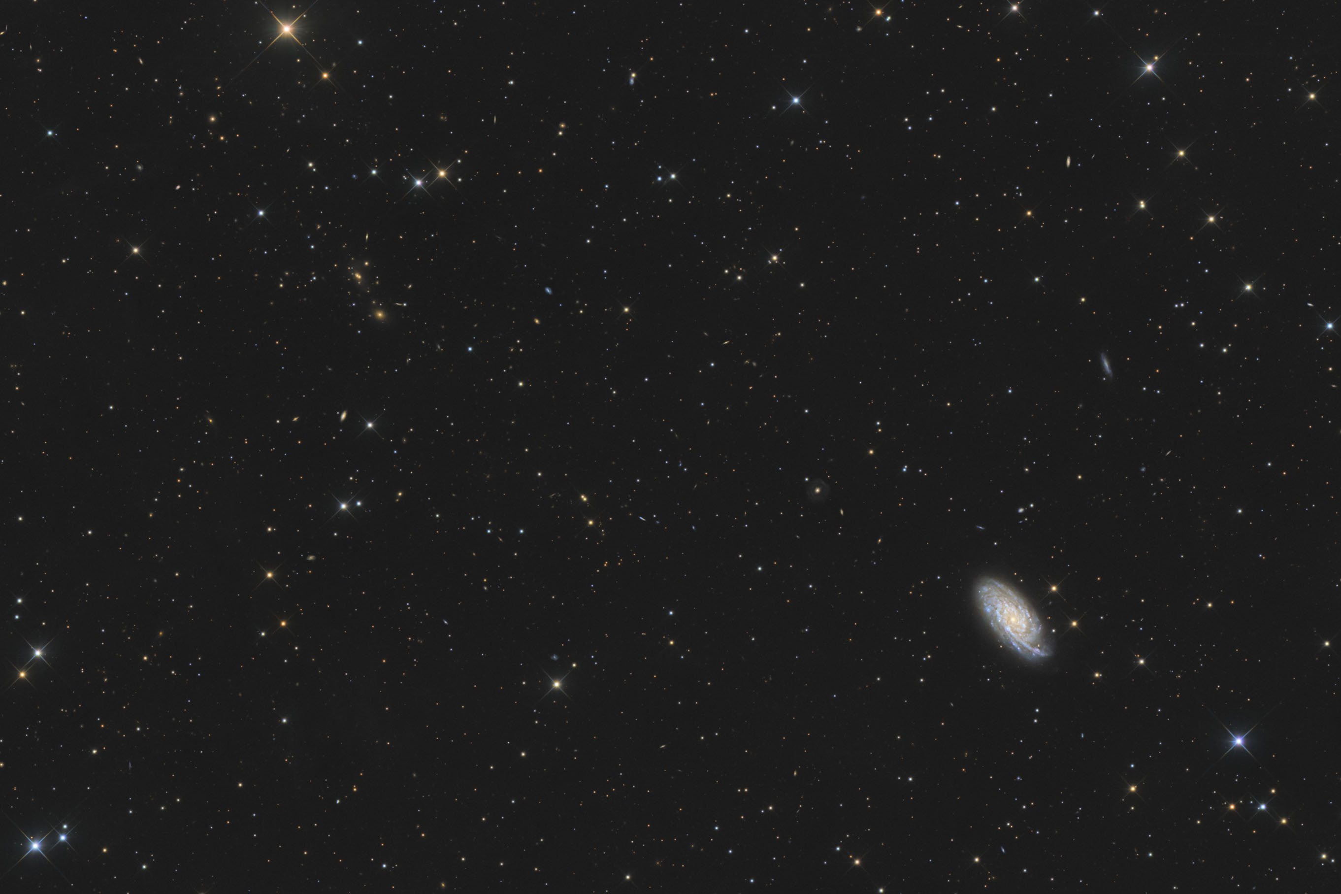 NGC 6643 mit Abell 2306 im Drachen
