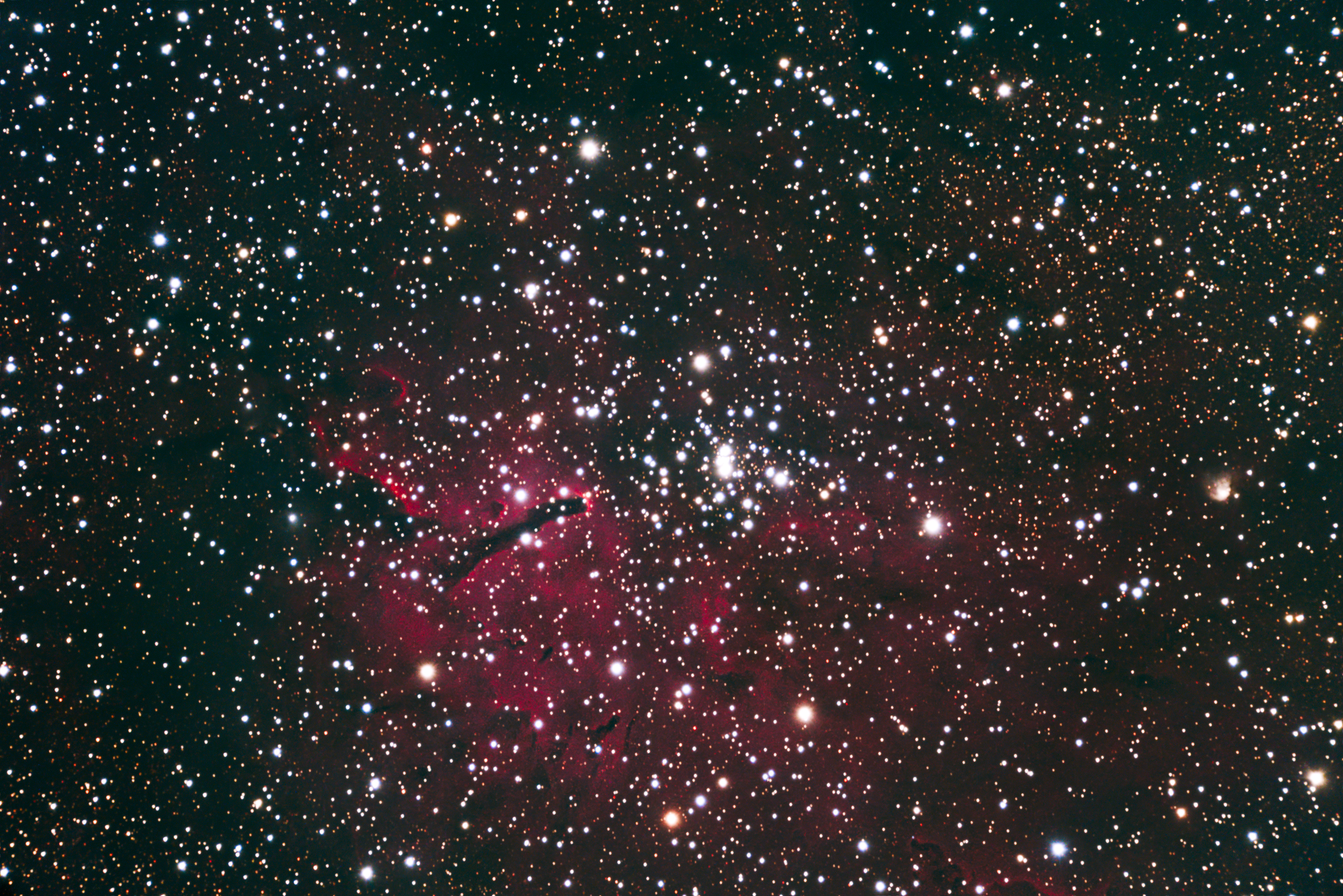 NGC 6823 jpeg.jpg | Forum Astronomie.de