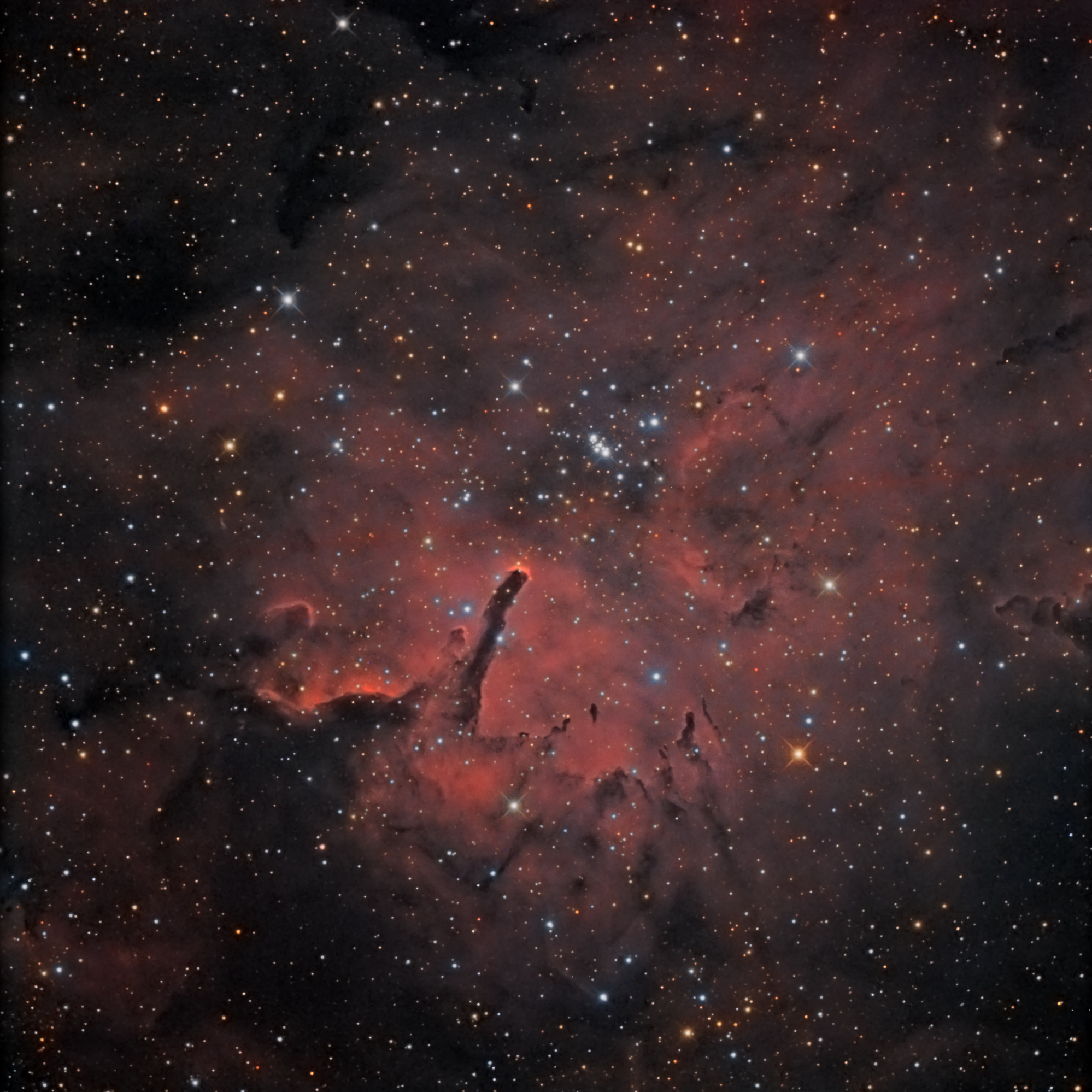 NGC 6823 | Astronomie.de - Der Treffpunkt für Astronomie