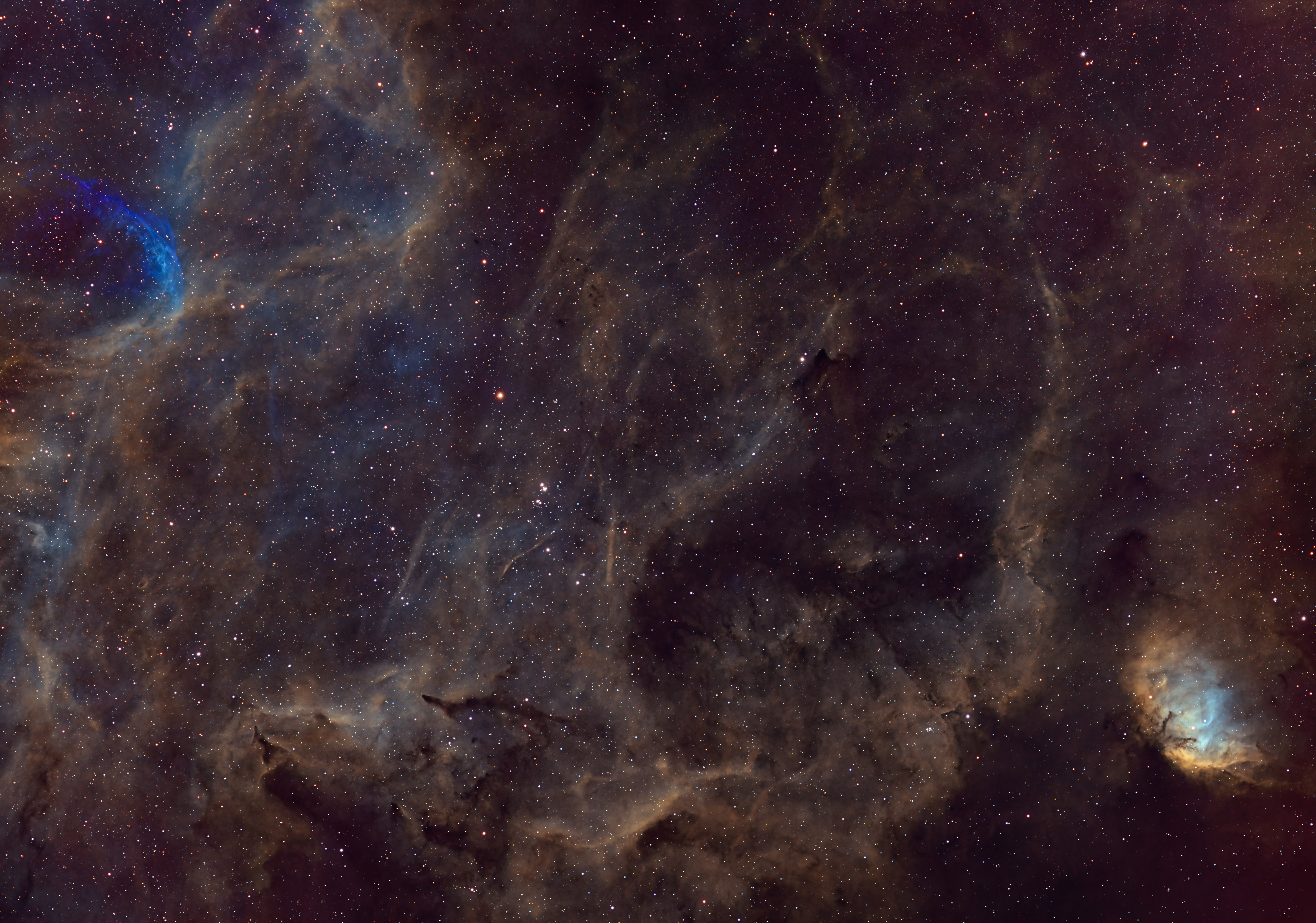 NGC 6871 + WR 134 + Tulpe in SHO