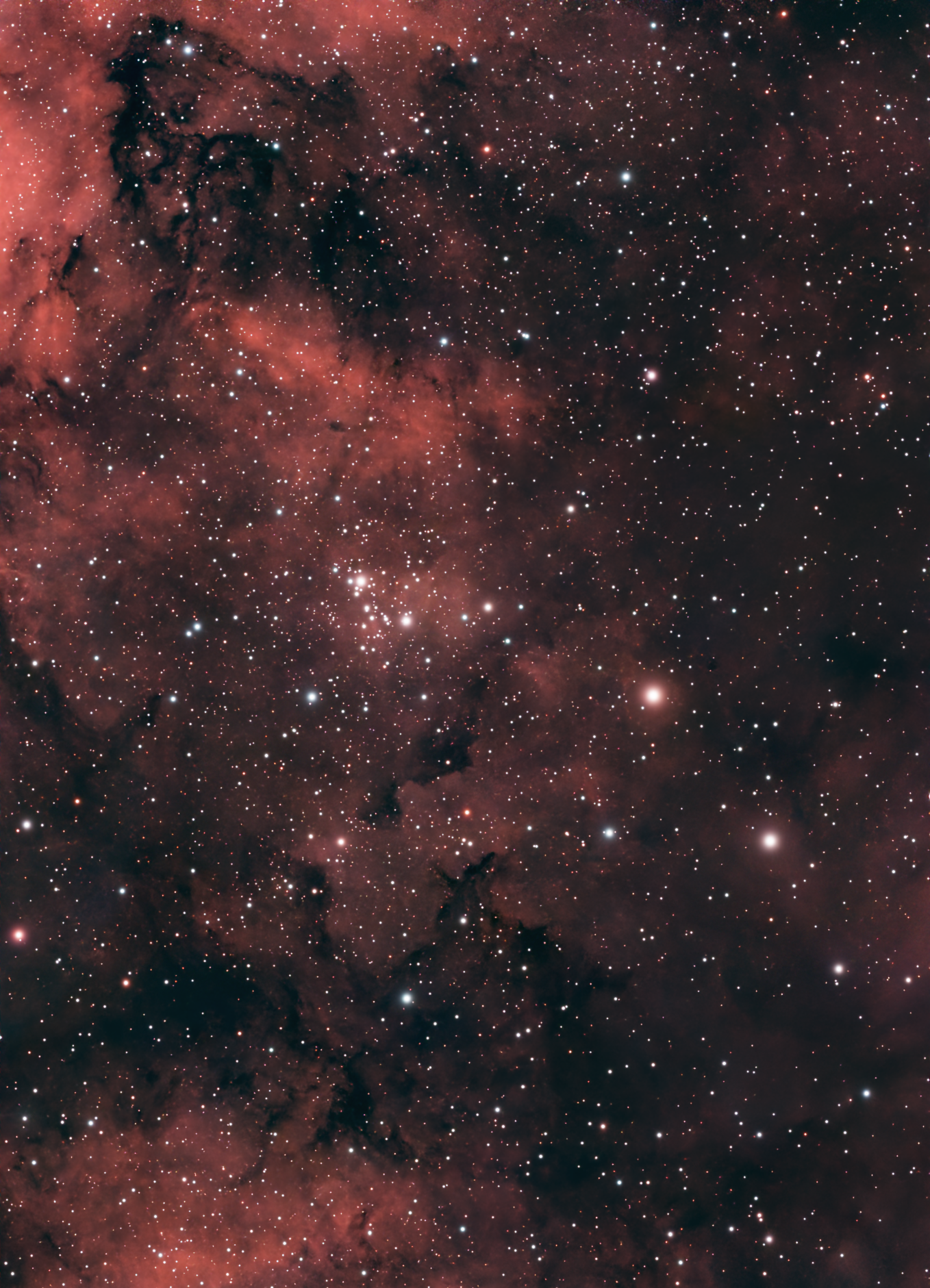 NGC 6910_Sternhaufen