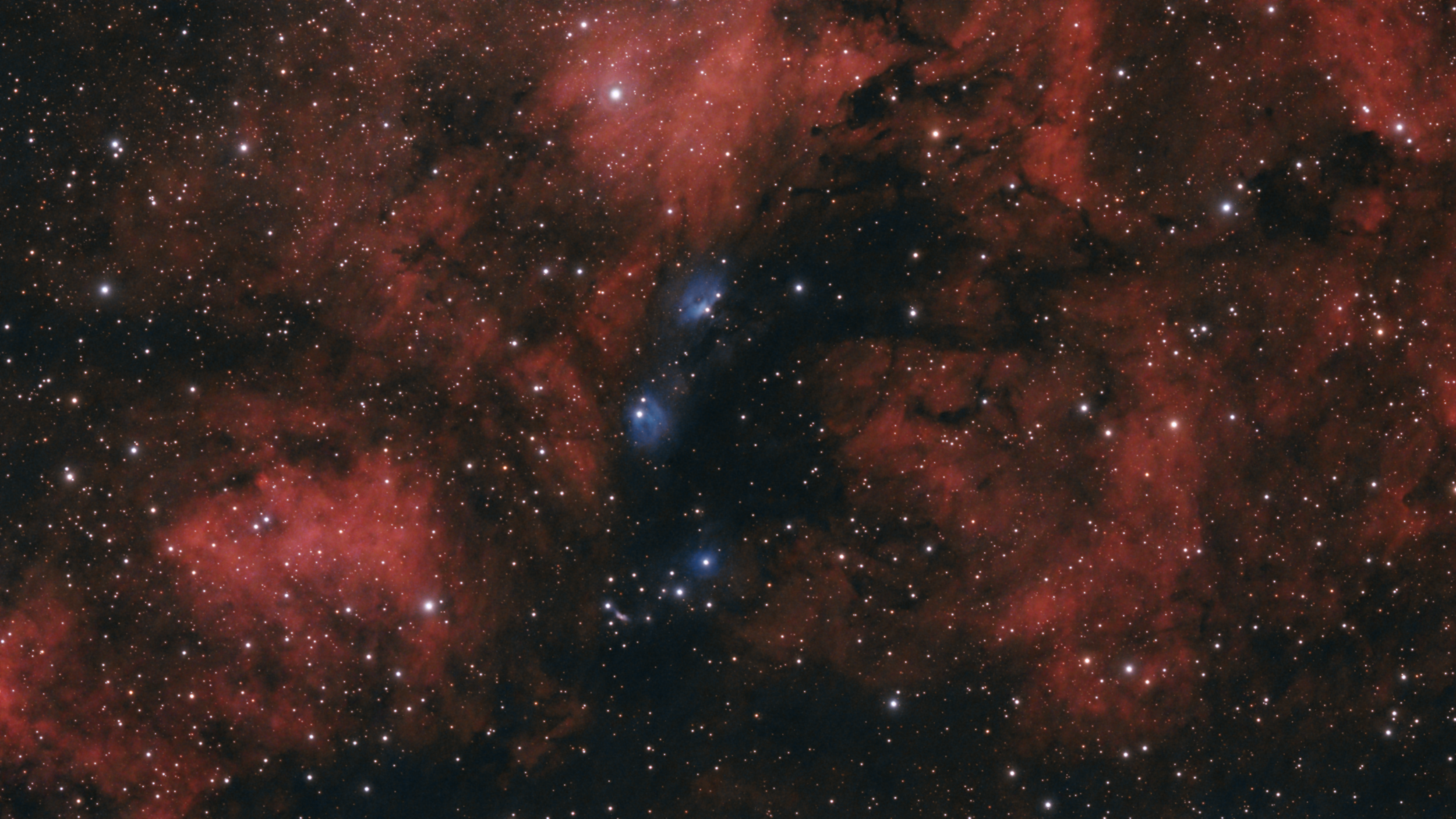 NGC 6914 - Reflexionsnebel in Cyg - 7h40 540mm - small.png